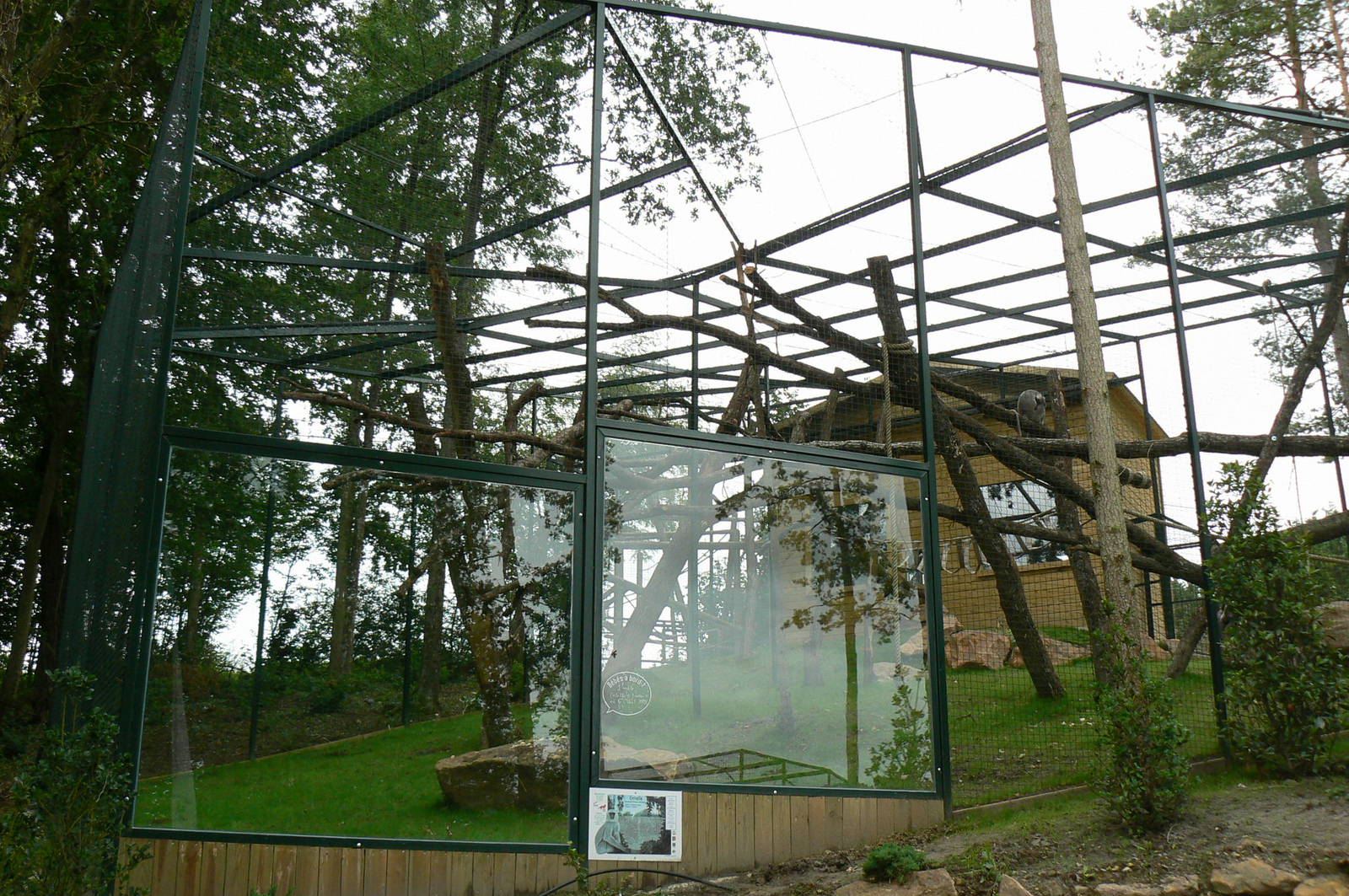 Asian plain exhibit - Grey langurs exhibit