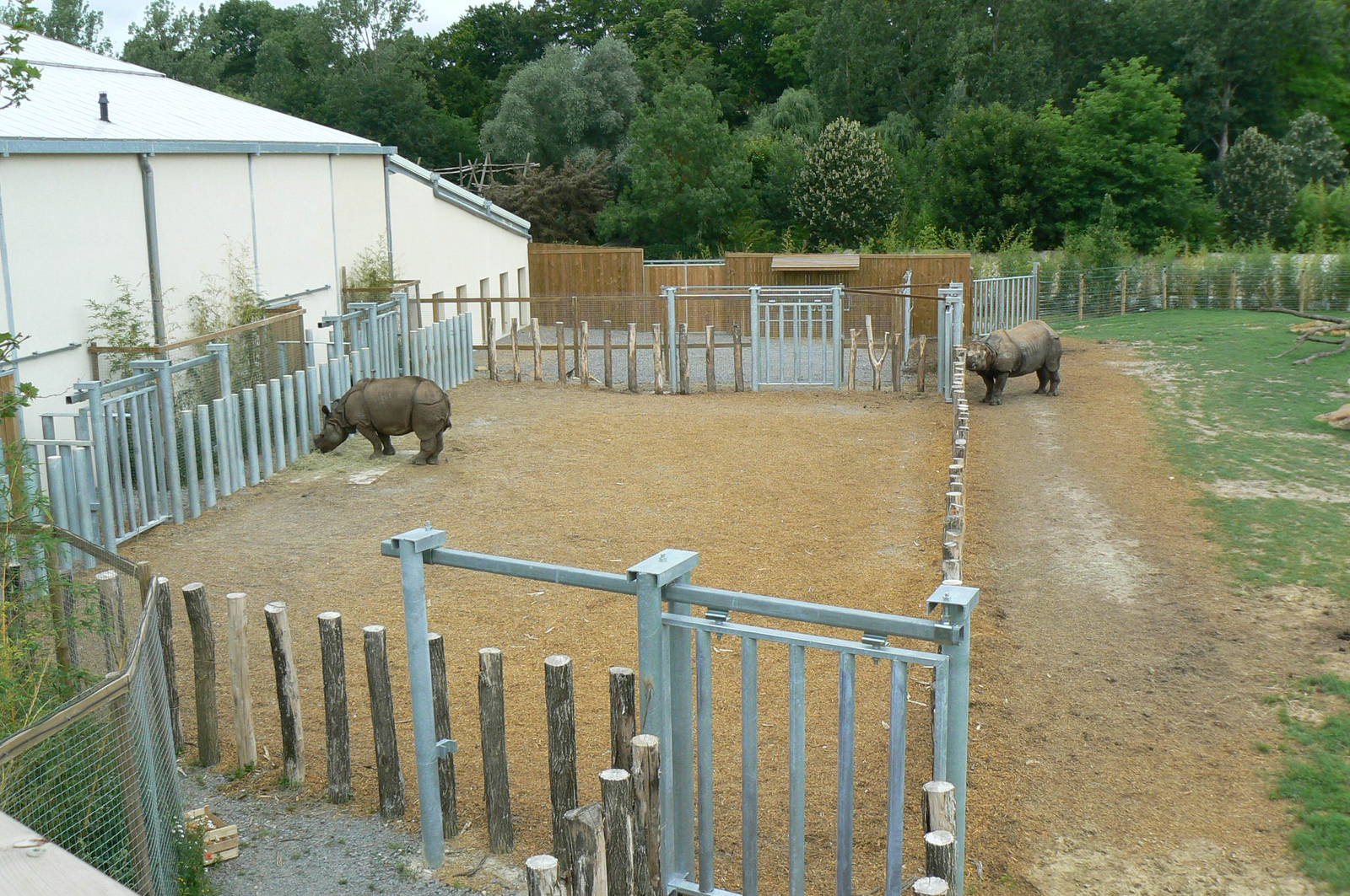 Asian plain exhibit - Indian rhinos exhibit