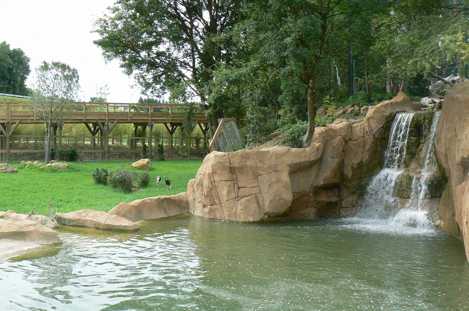 Asian plain exhibit - Malayan tapirs exhibit