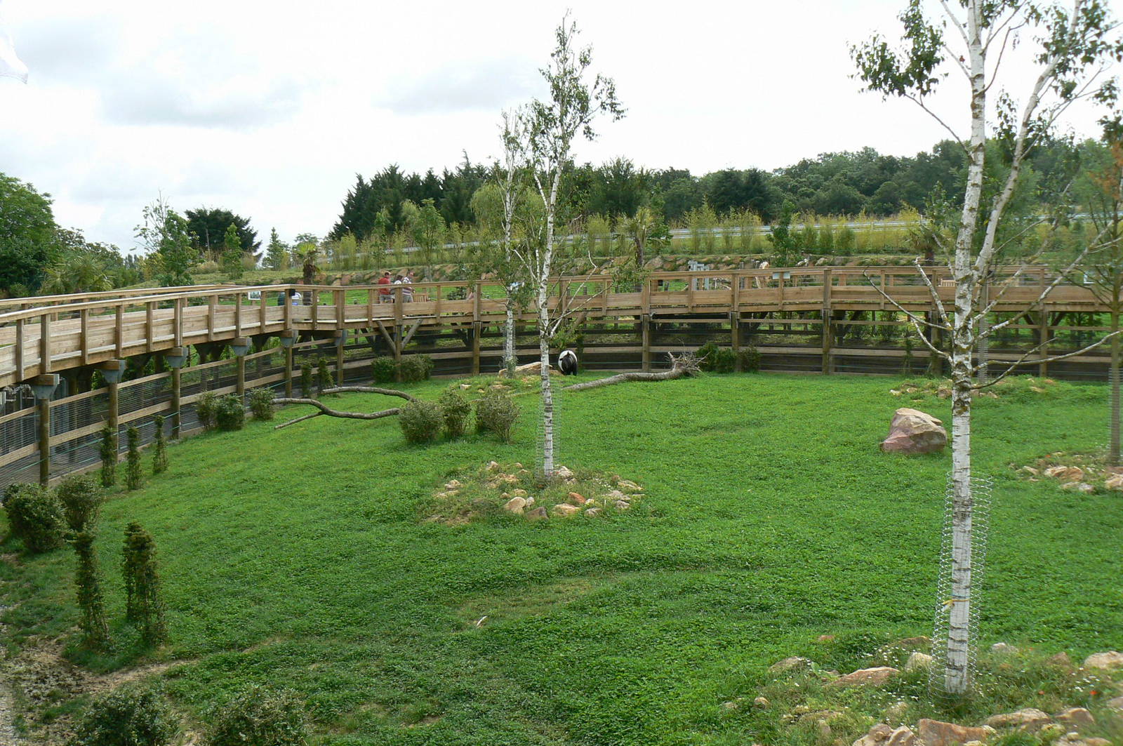 Asian plain exhibit - Malayan tapirs exhibit