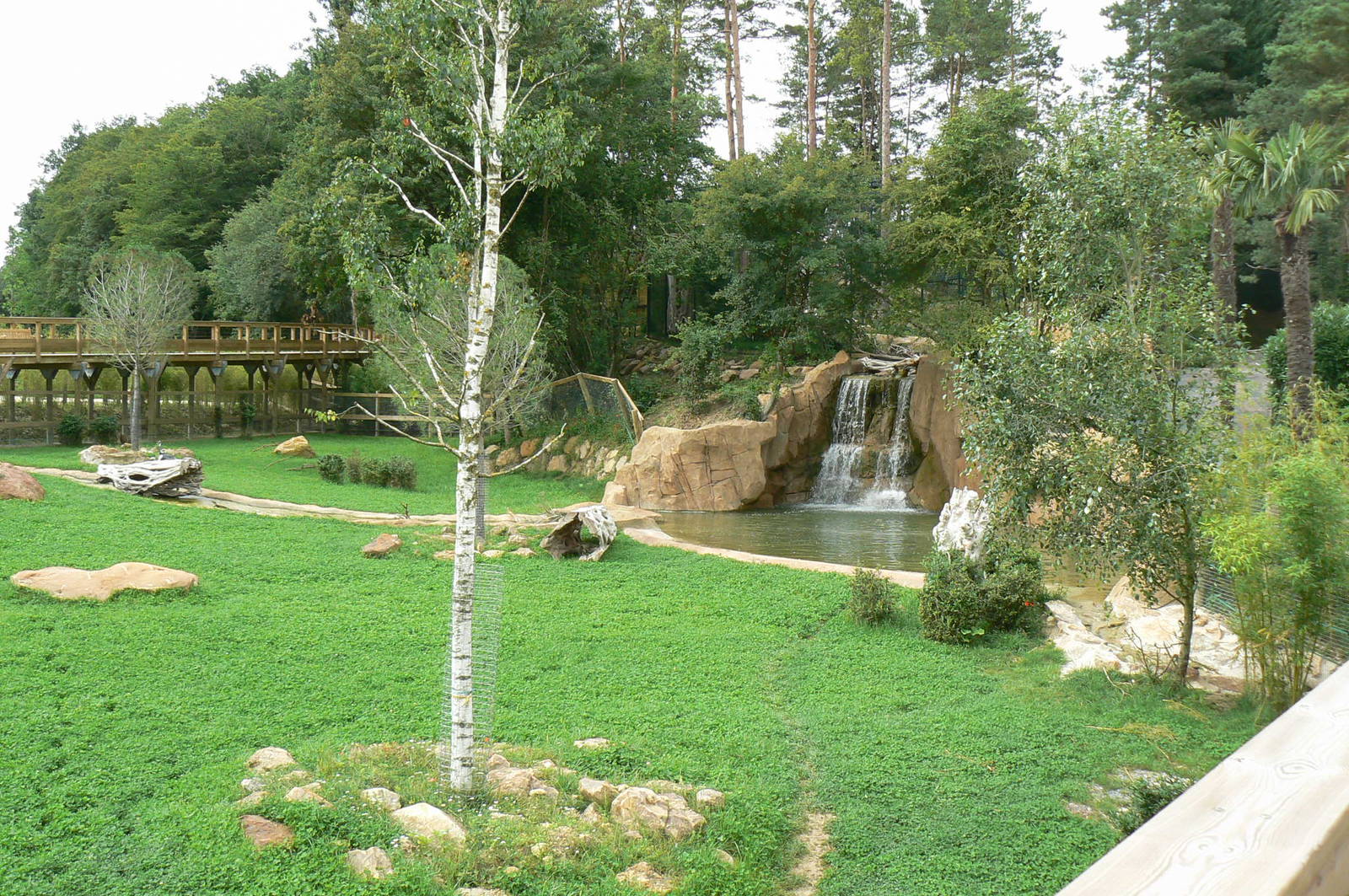 Asian plain exhibit - Malayan tapirs exhibit