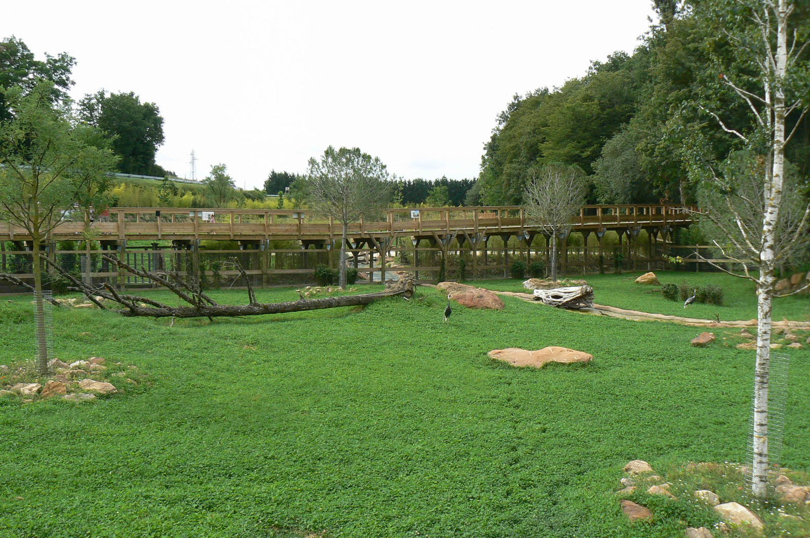 Asian plain exhibit - Malayan tapirs exhibit