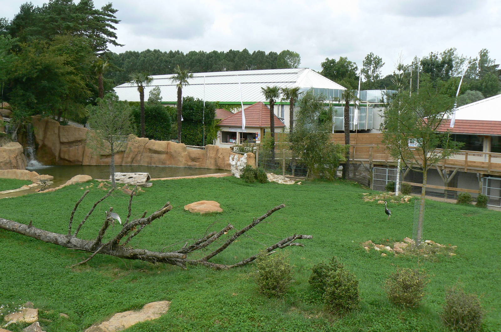 Asian plain exhibit - Malayan tapirs exhibit
