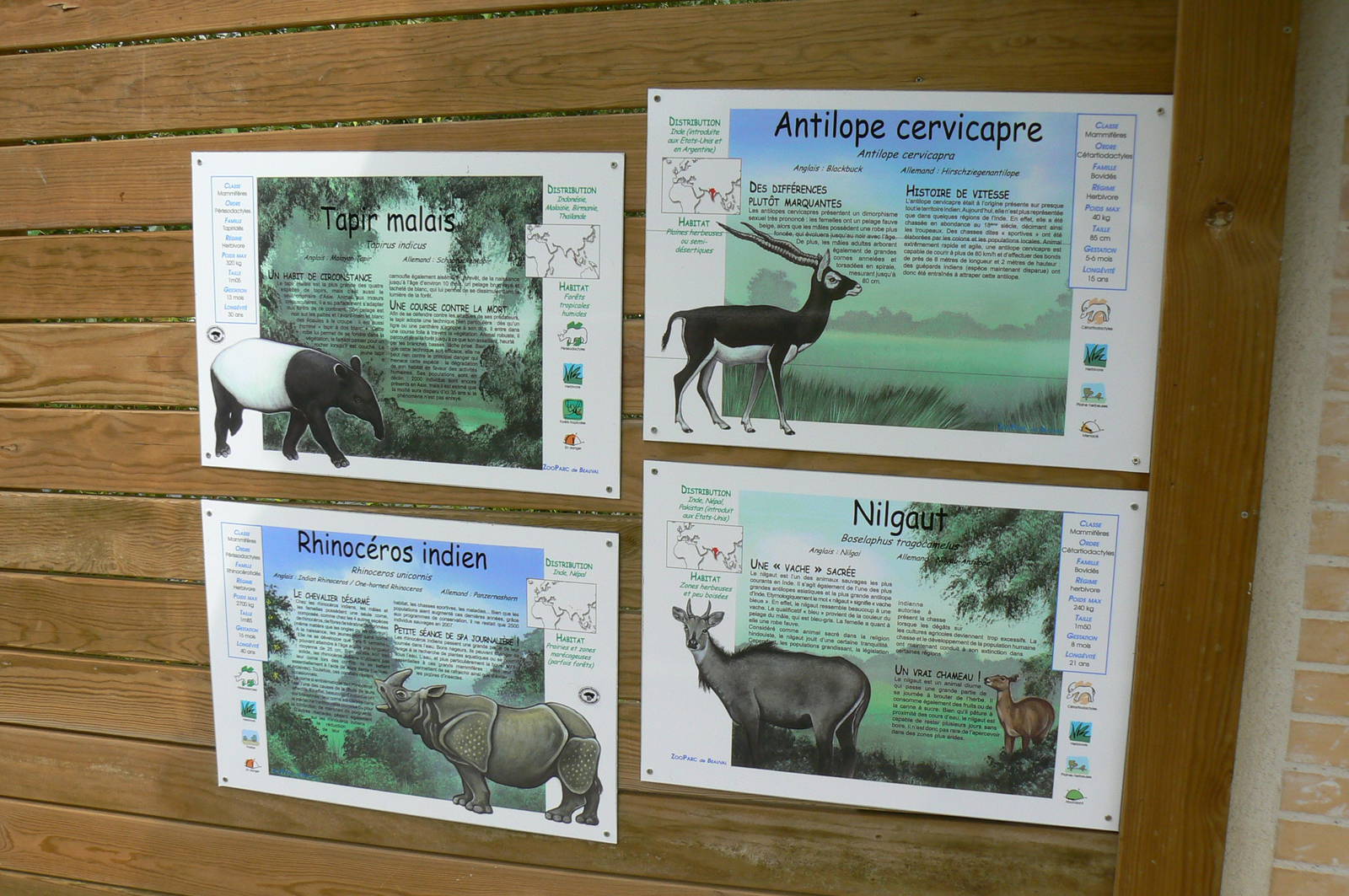 Asian plain exhibit - opened in 2010