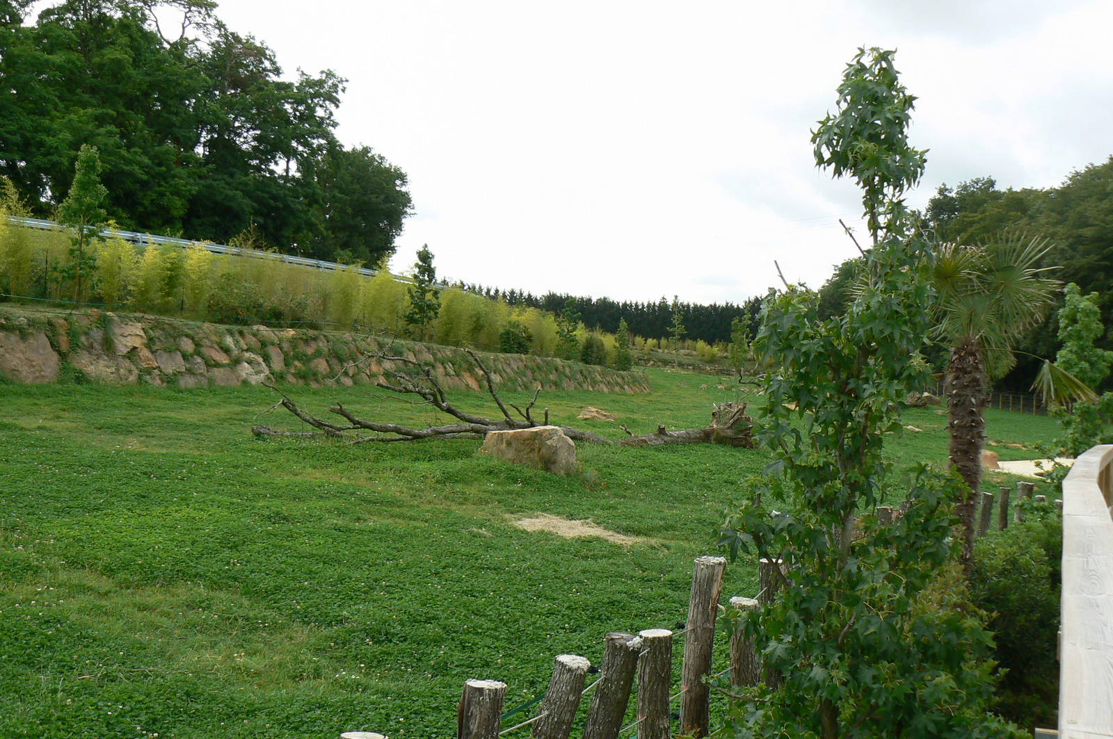 Asian plain exhibit - Second indian rhinos exhibit