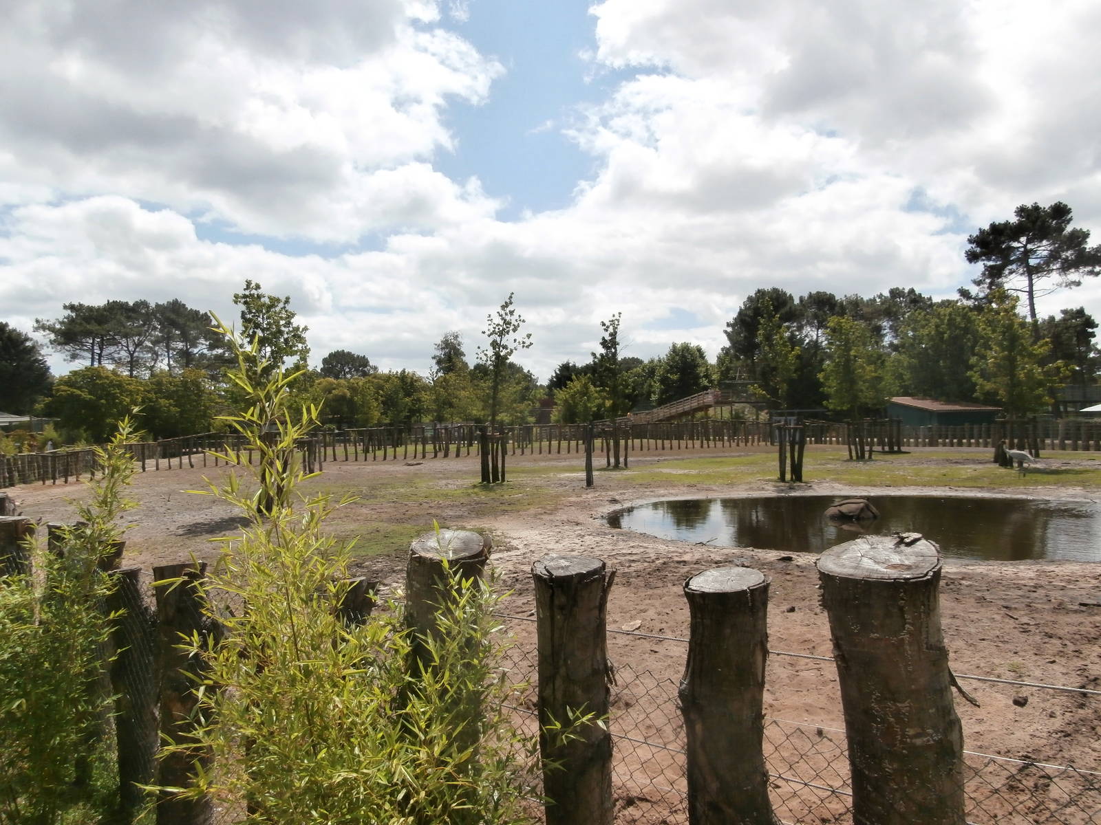 Asian plains enclosure