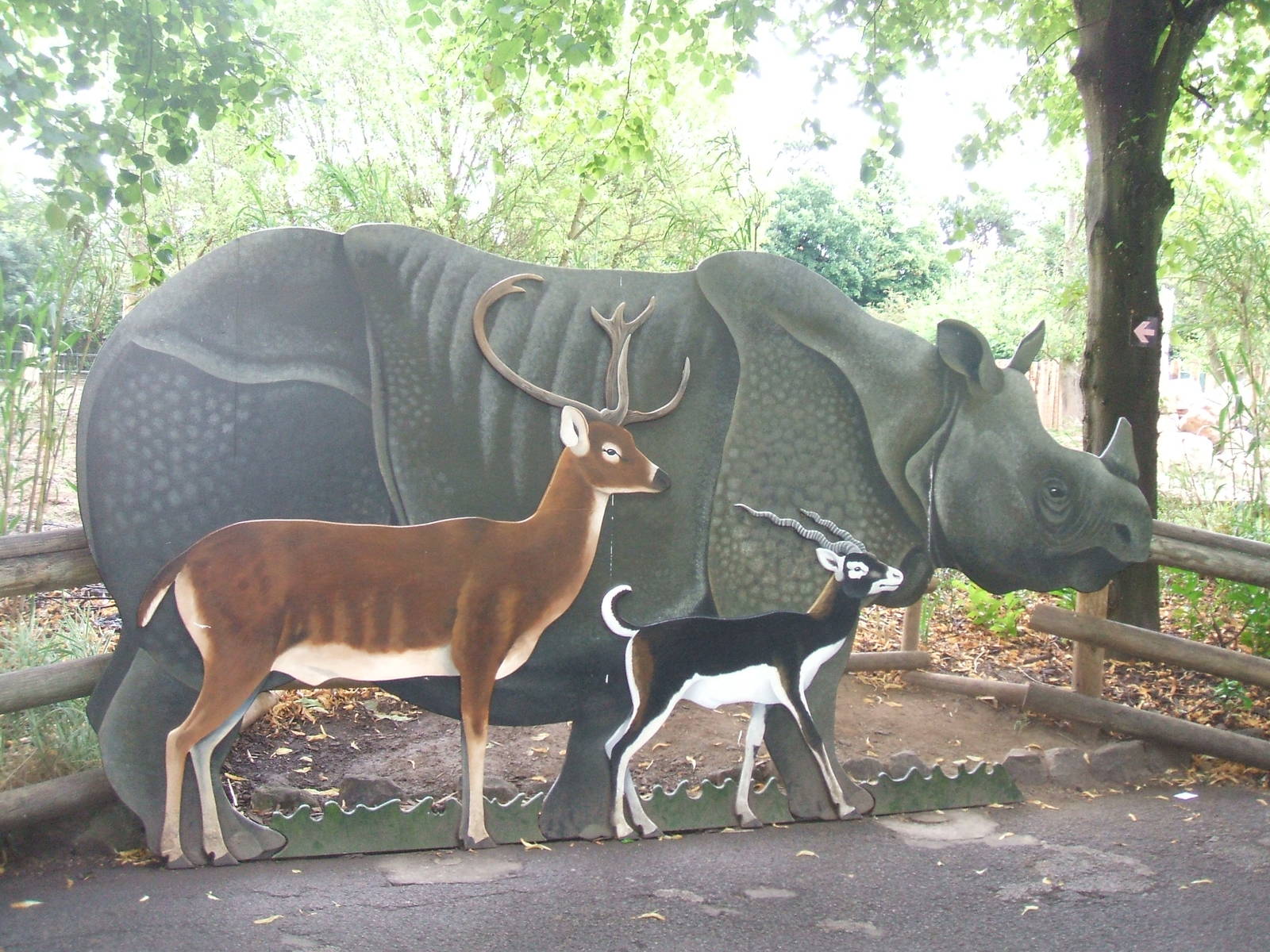 Asian Plains size comparison