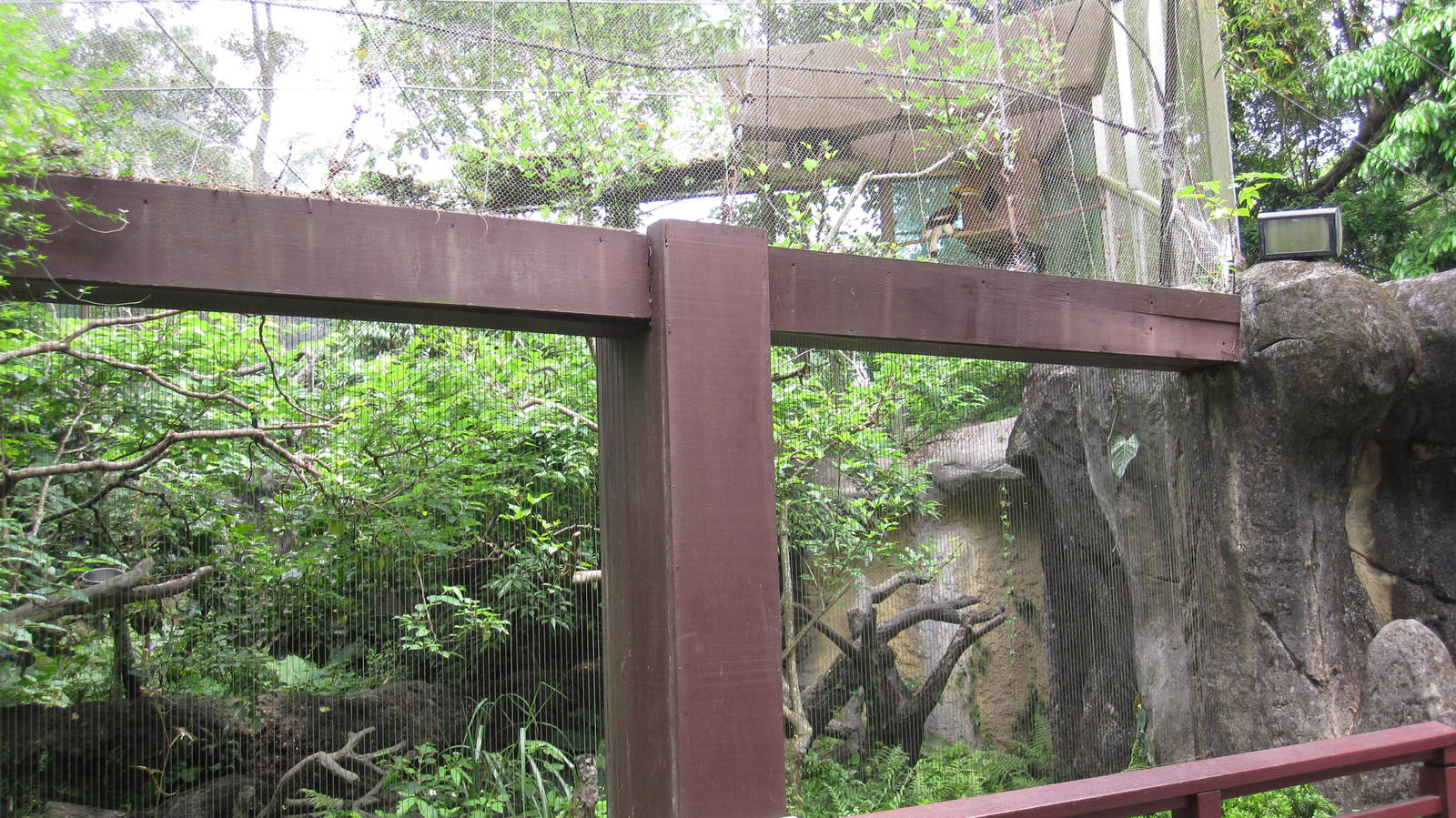 Asian Rainforest - Hornbill aviary