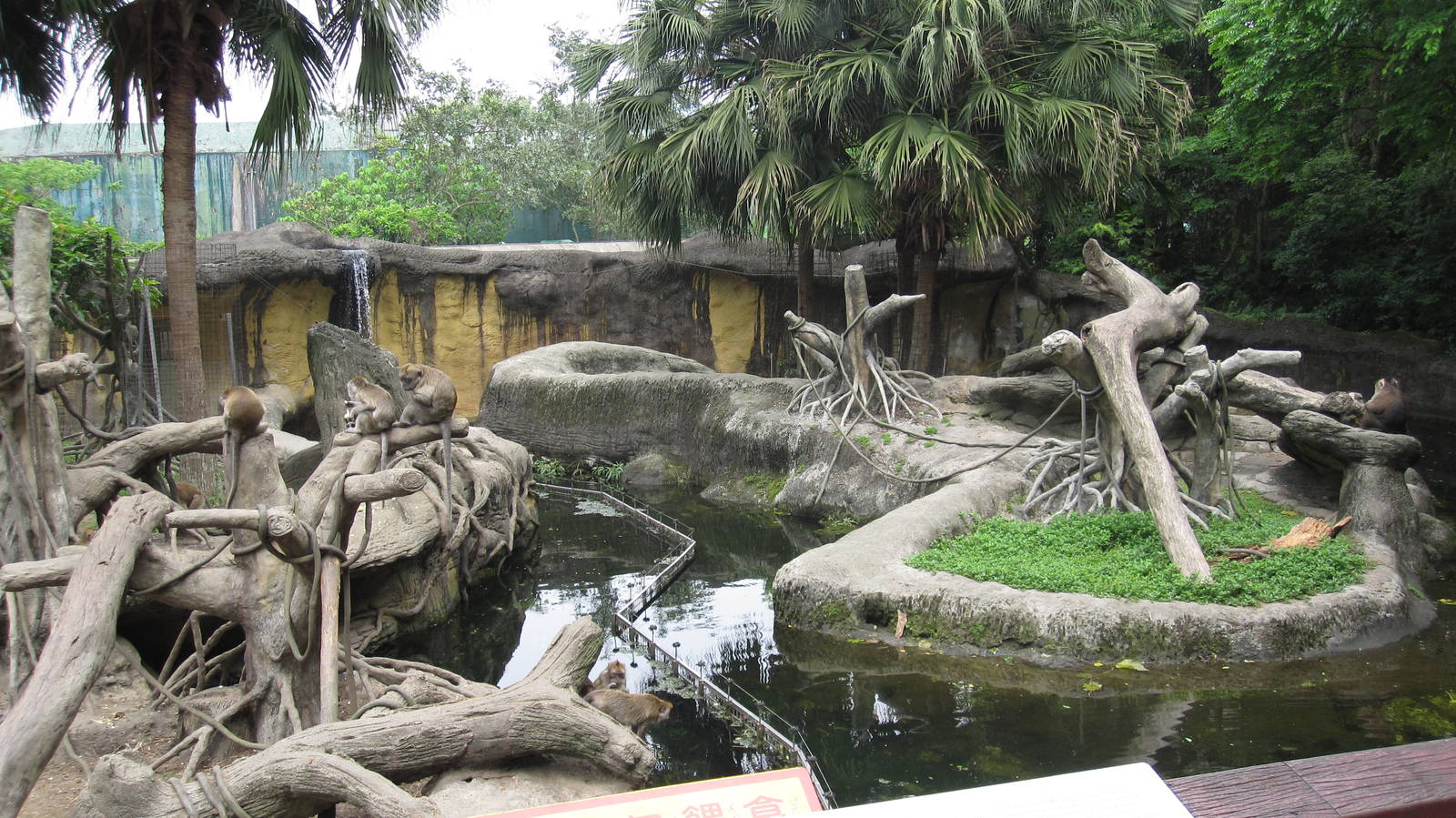 Asian Rainforest - Macaque exhibit