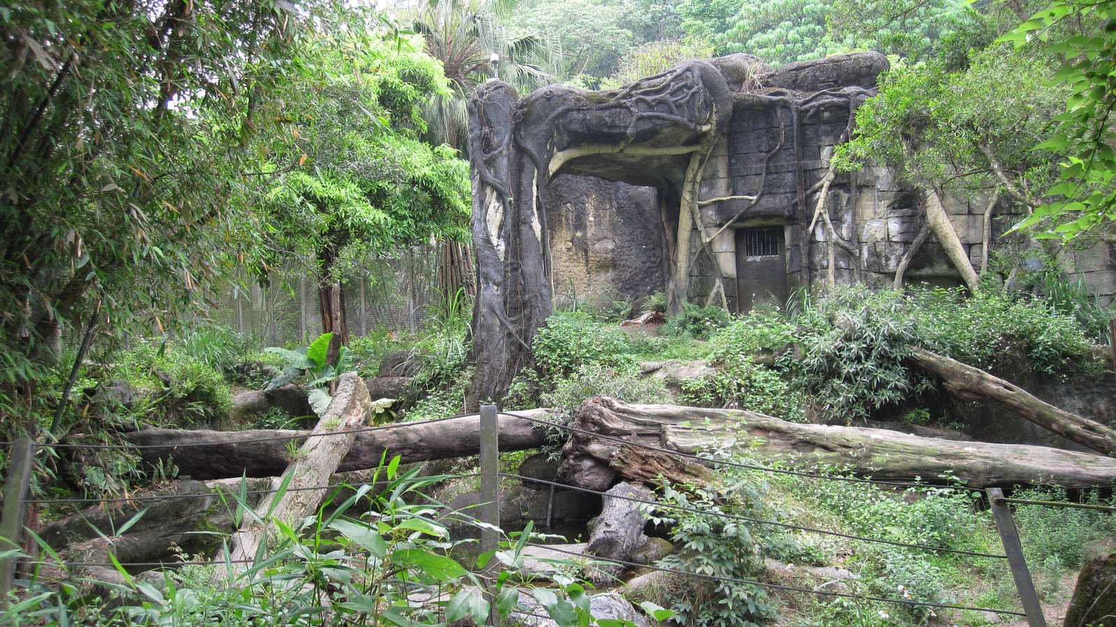 Asian Rainforest - Tiger exhibit