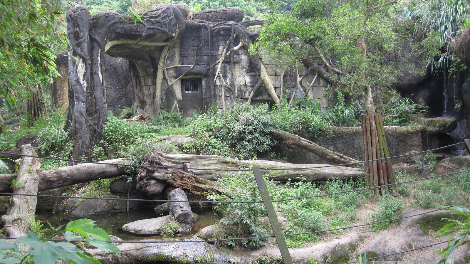 Asian Rainforest - Tiger exhibit
