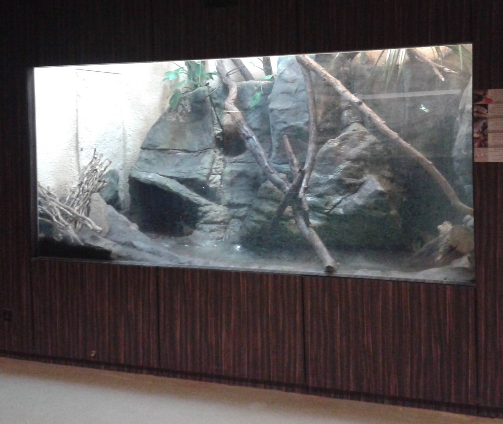 Asian reptile enclosure
