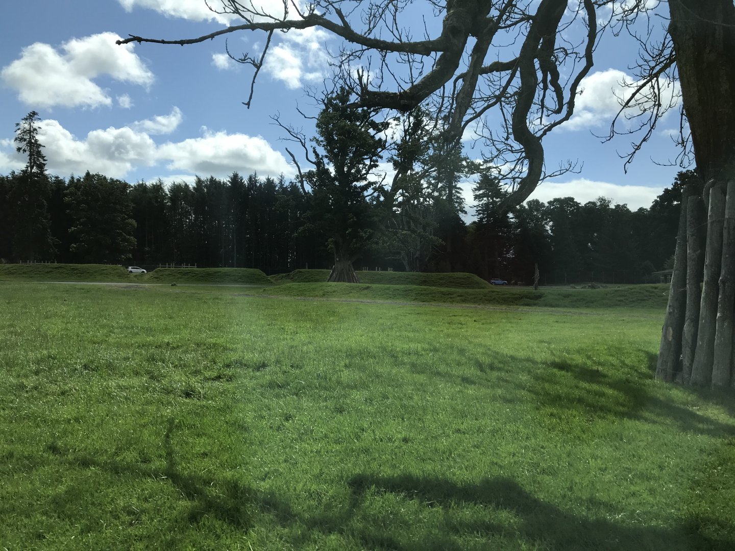 Asian reserve (holds nilgai, bactrian camel and deer)