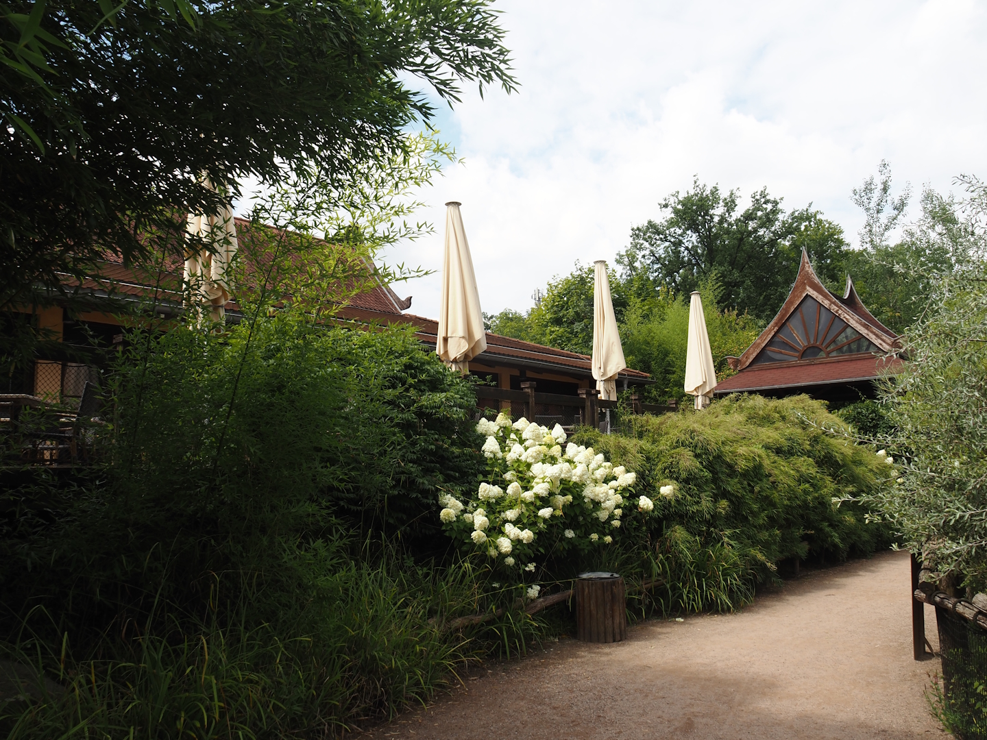 Asian restaurant and terrace, 2024-08-05