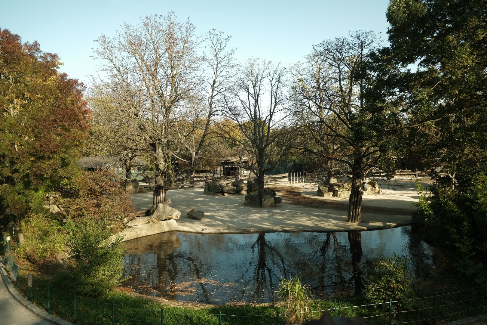 Asian Rhino + Hoofstock Exhibit - Fall 2024