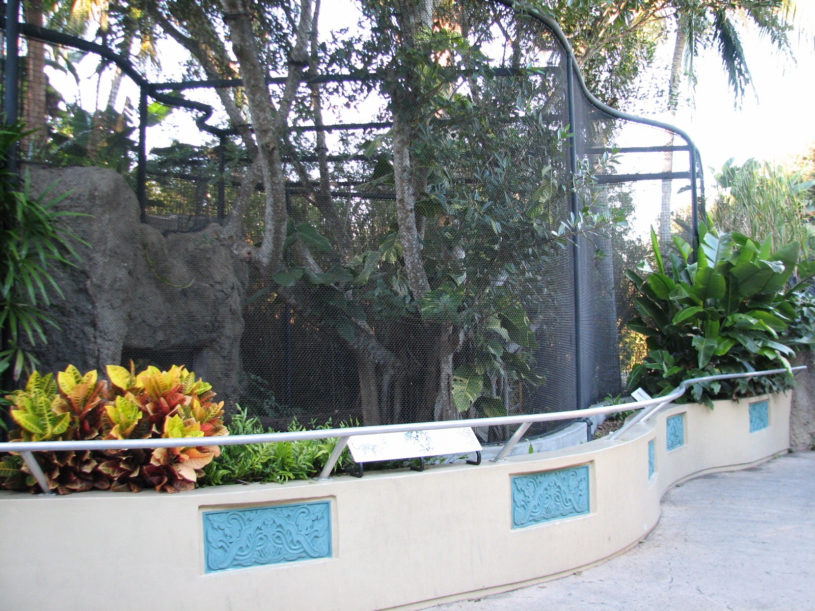 Asian River Life - Cloded Leopard Exhibit