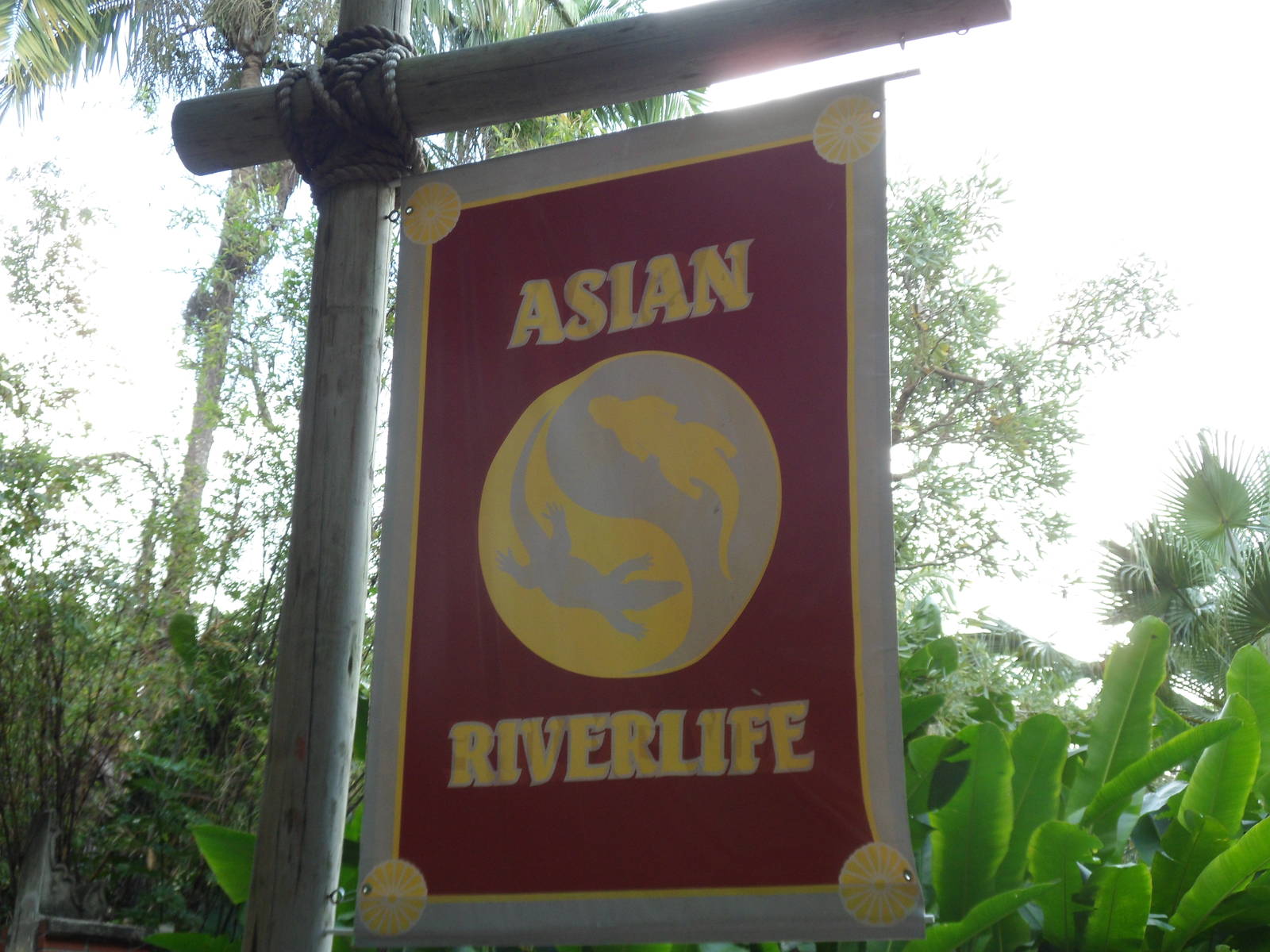 Asian Riverlife Sign