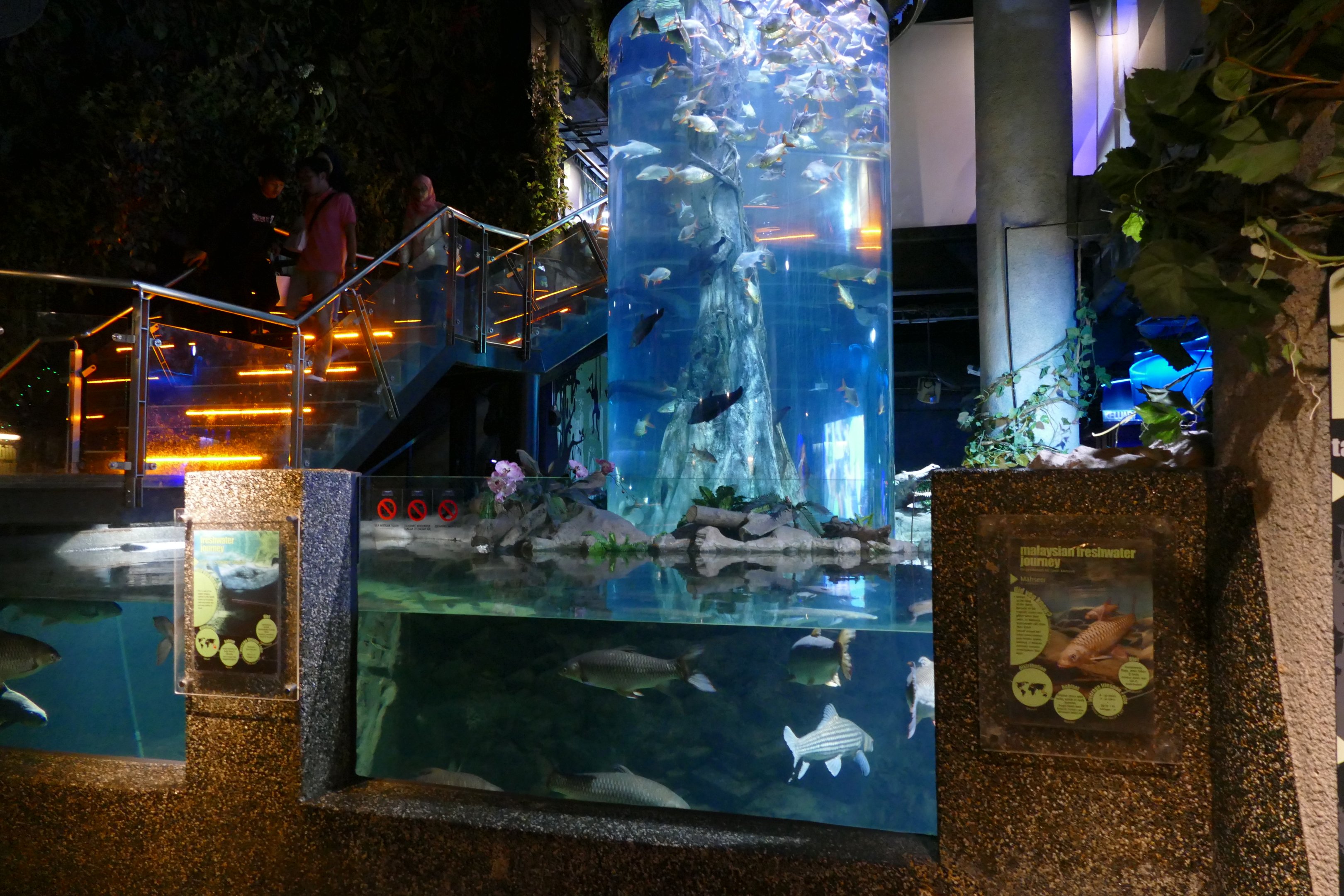 Asian Rivers exhibit