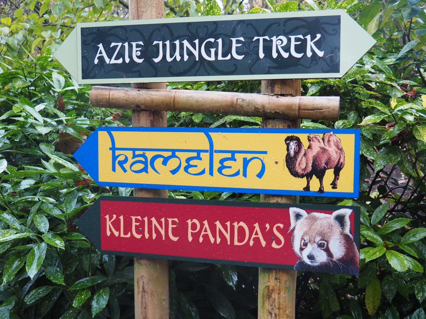 Asian section signs (Nov 10th, 2018)