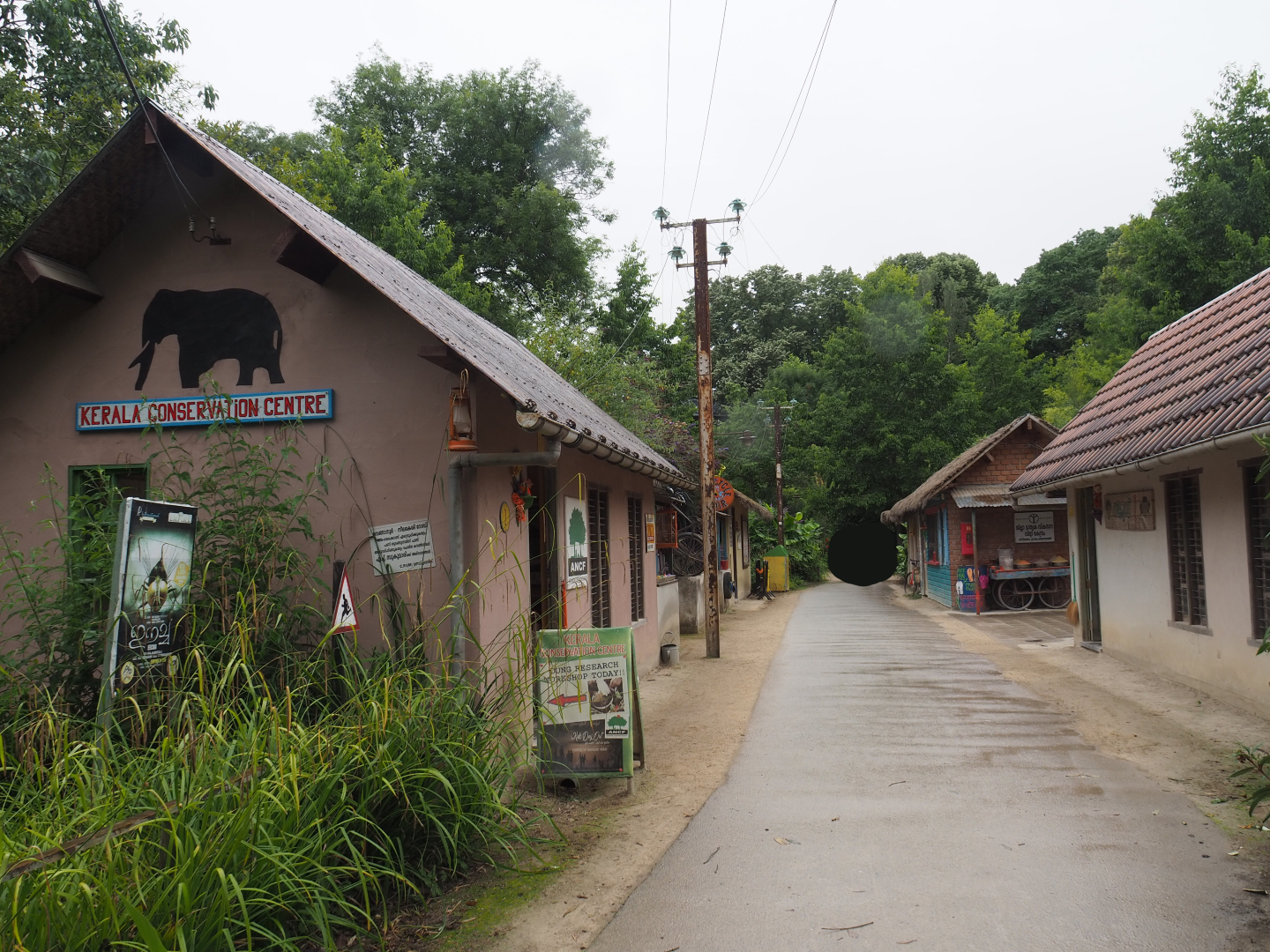 Asian section theming - Kerala Village, 2020-07-14