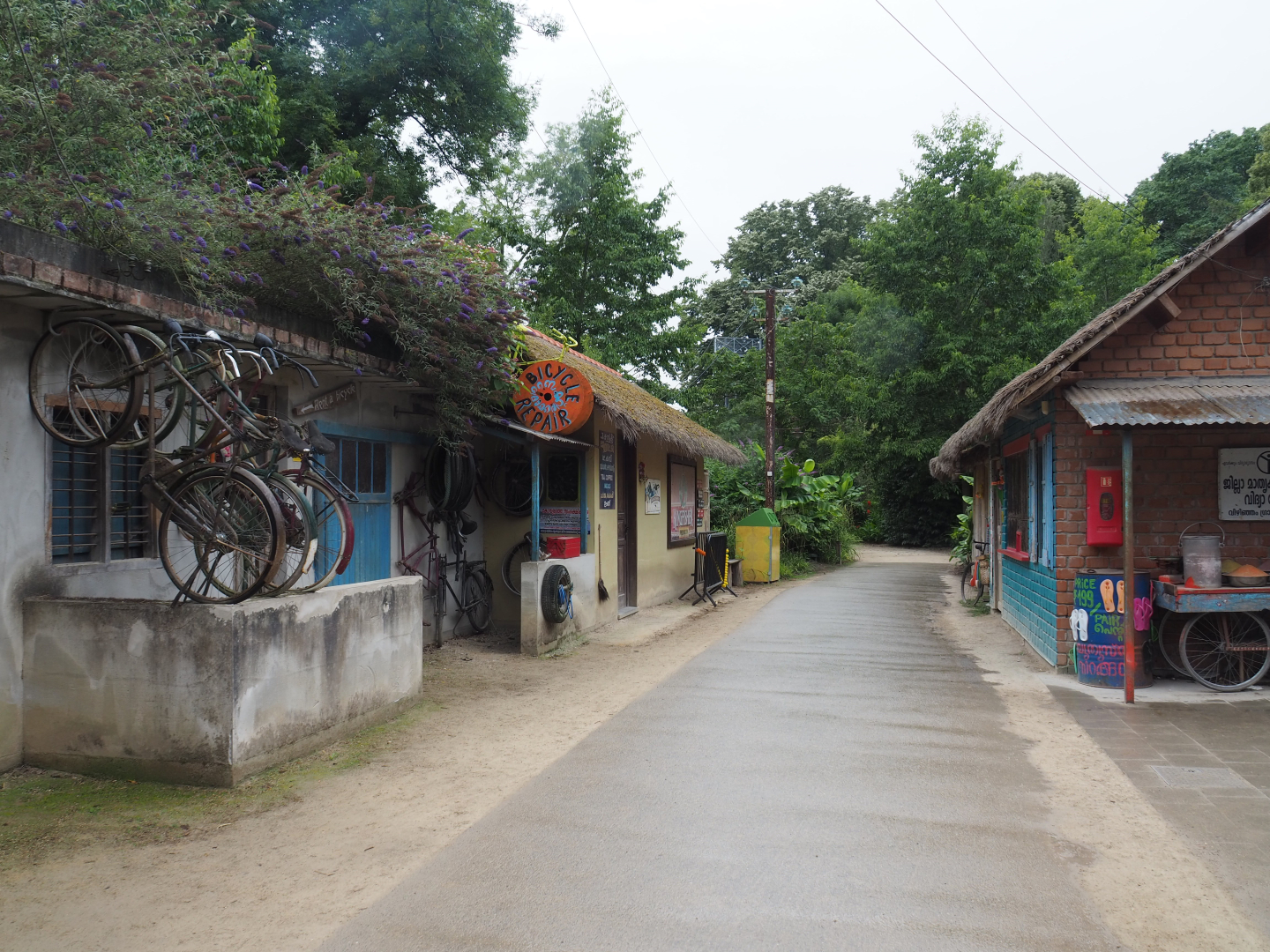 Asian section theming - Kerala Village, 2020-07-14