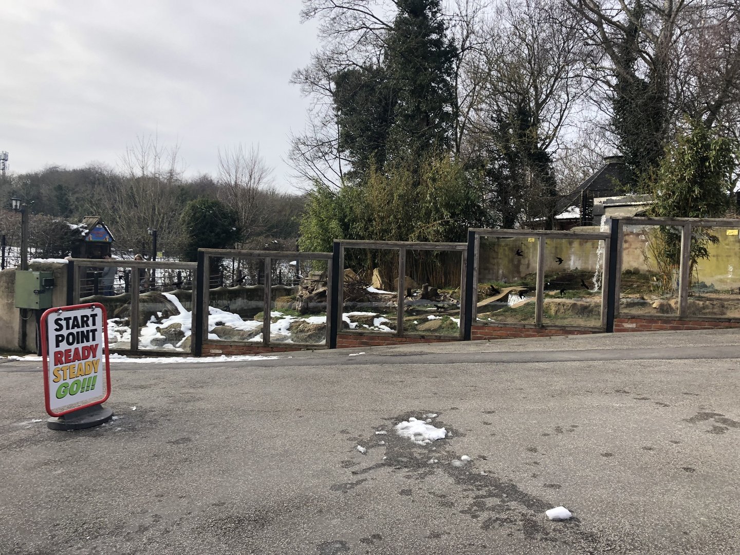 Asian Short-clawed Enclosure Otter at Tropical Butterfly House (March 2023)