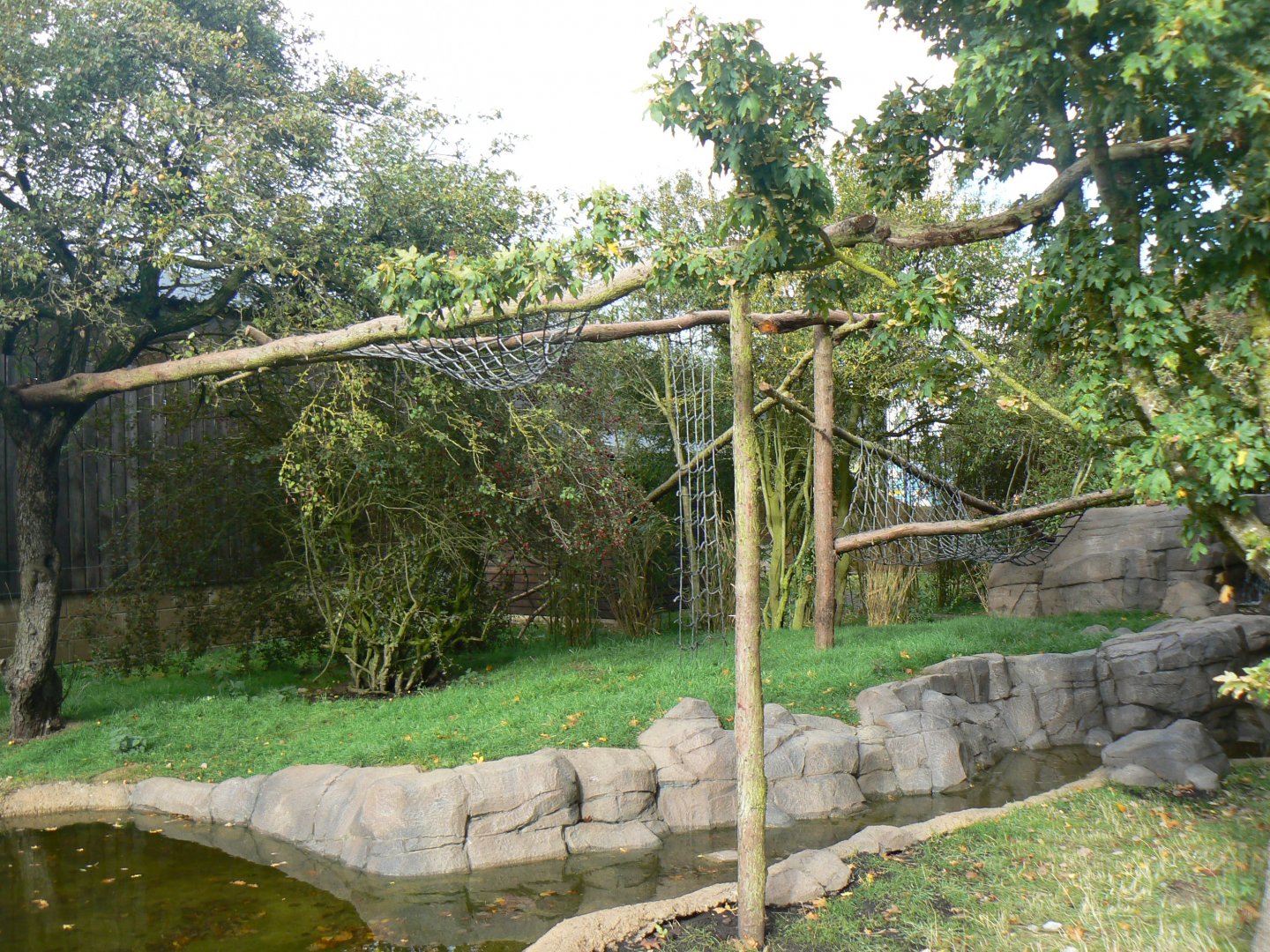Asian Short-clawed Otter and Binturong Enclosure - 16 October 2016