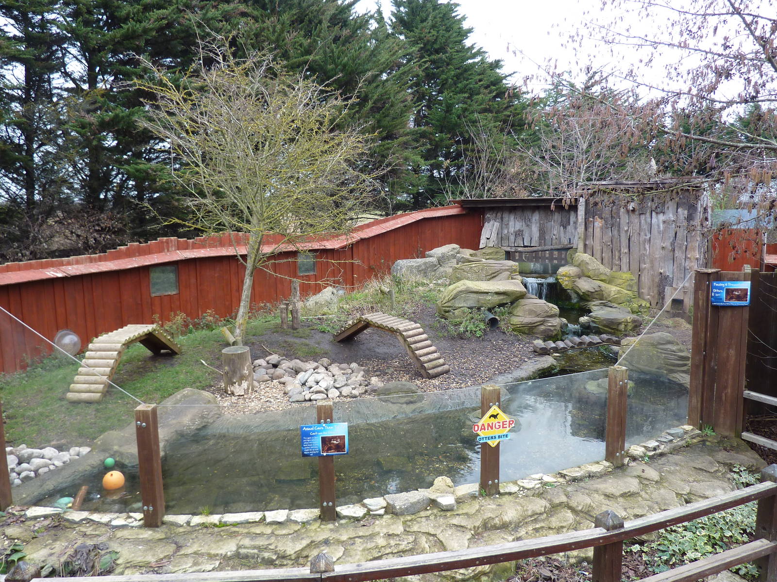 Asian short-clawed otter enclosure, 8th Feb 2012