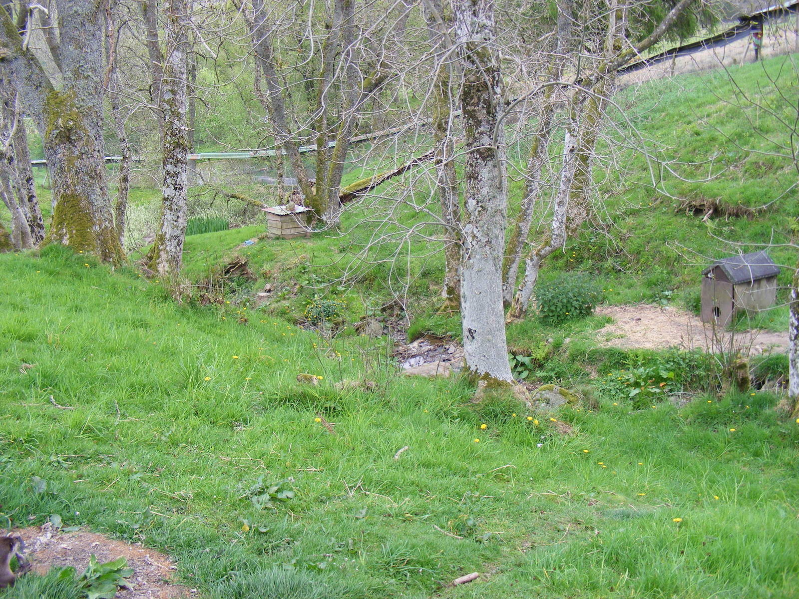 Asian short-clawed otter enclosure at Auchingarrich Wildlife Centre, 20 May