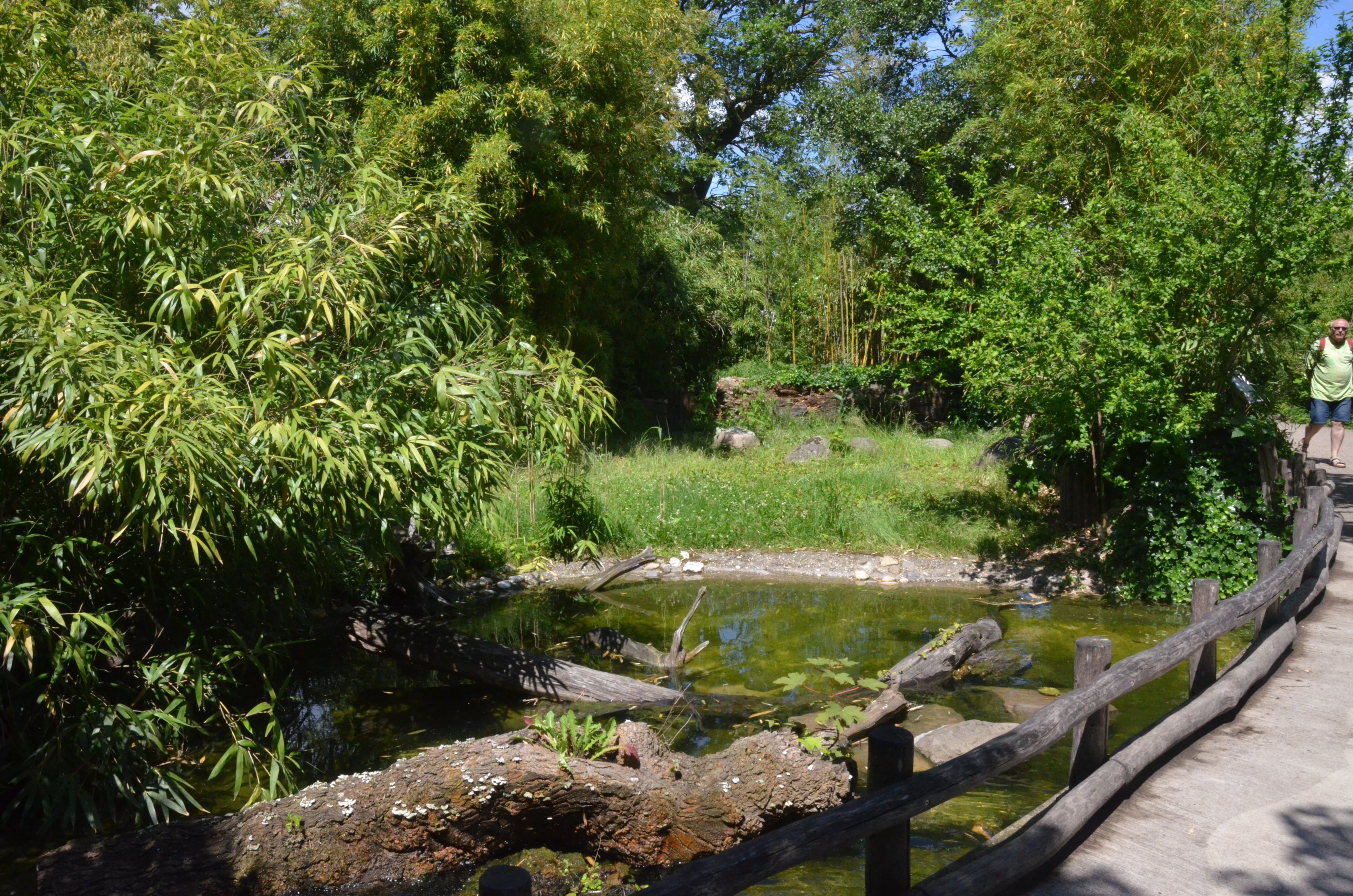 Asian Short-clawed Otter Enclosure at Duisburg, 17/06/19