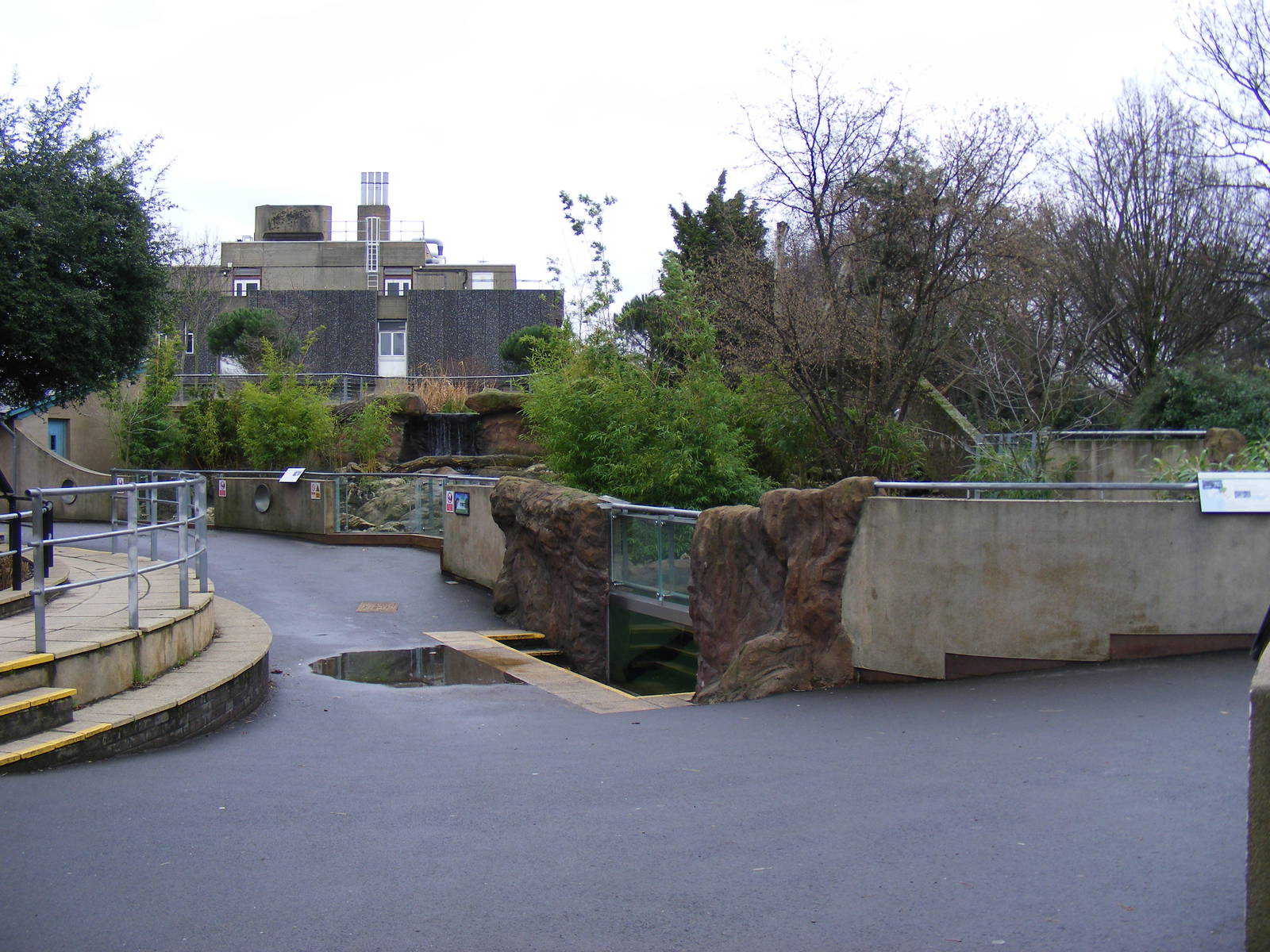 Asian short-clawed otter enclosure at London Zoo, 15 January 2011