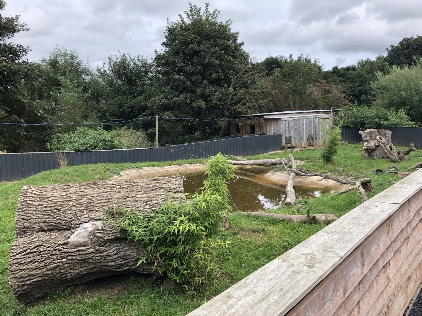 Asian Short-Clawed Otter Enclosure at Northumberland Country Zoo (September 2021)
