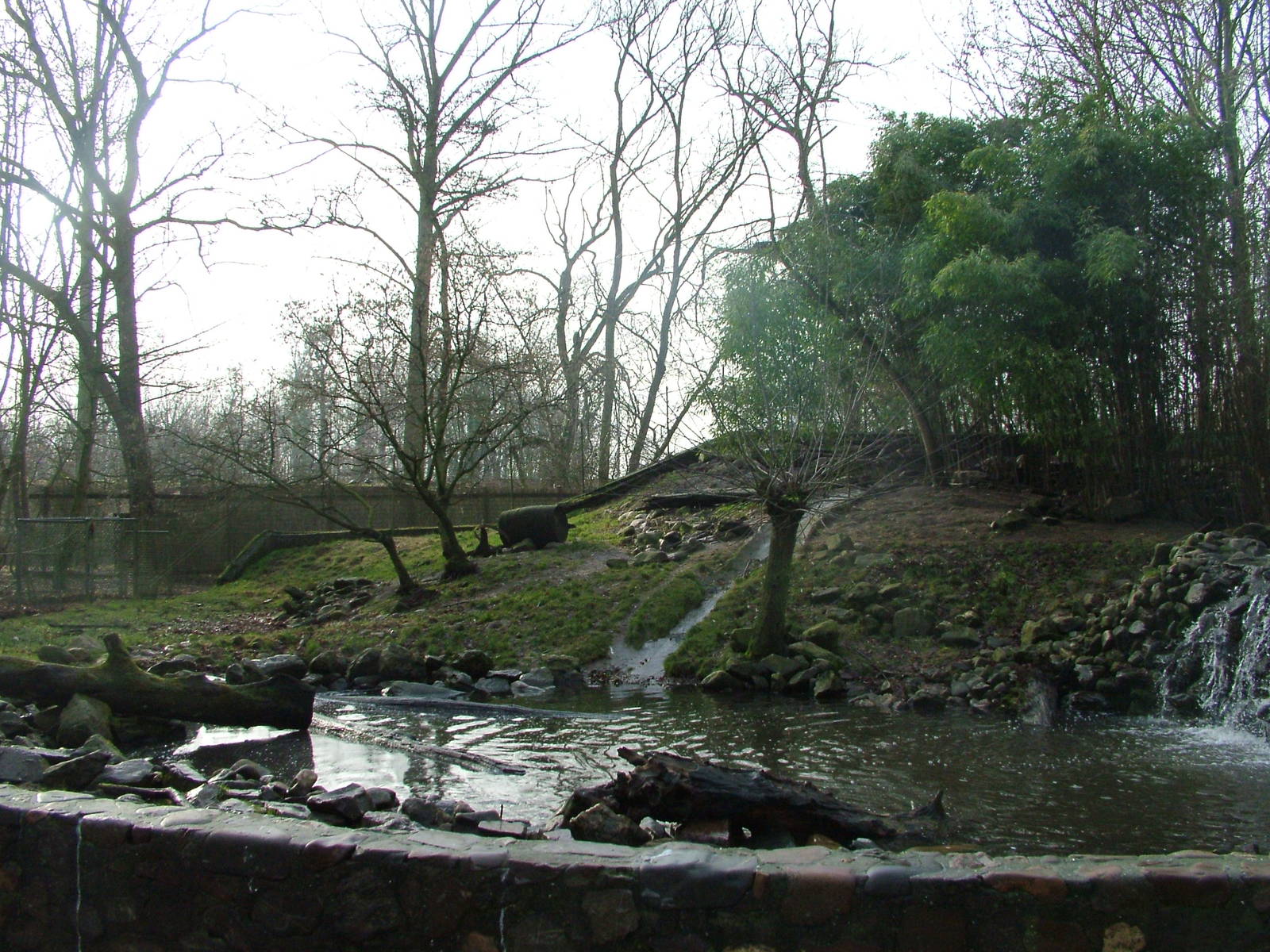 Asian Short-clawed Otter enclosure at Planckendael Jan 09