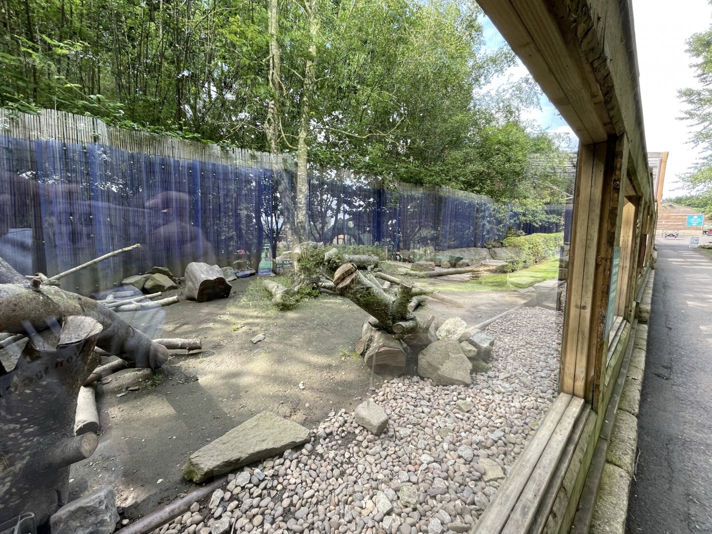 Asian Short-Clawed Otter Enclosure at Ponderosa Zoo (July 2021)