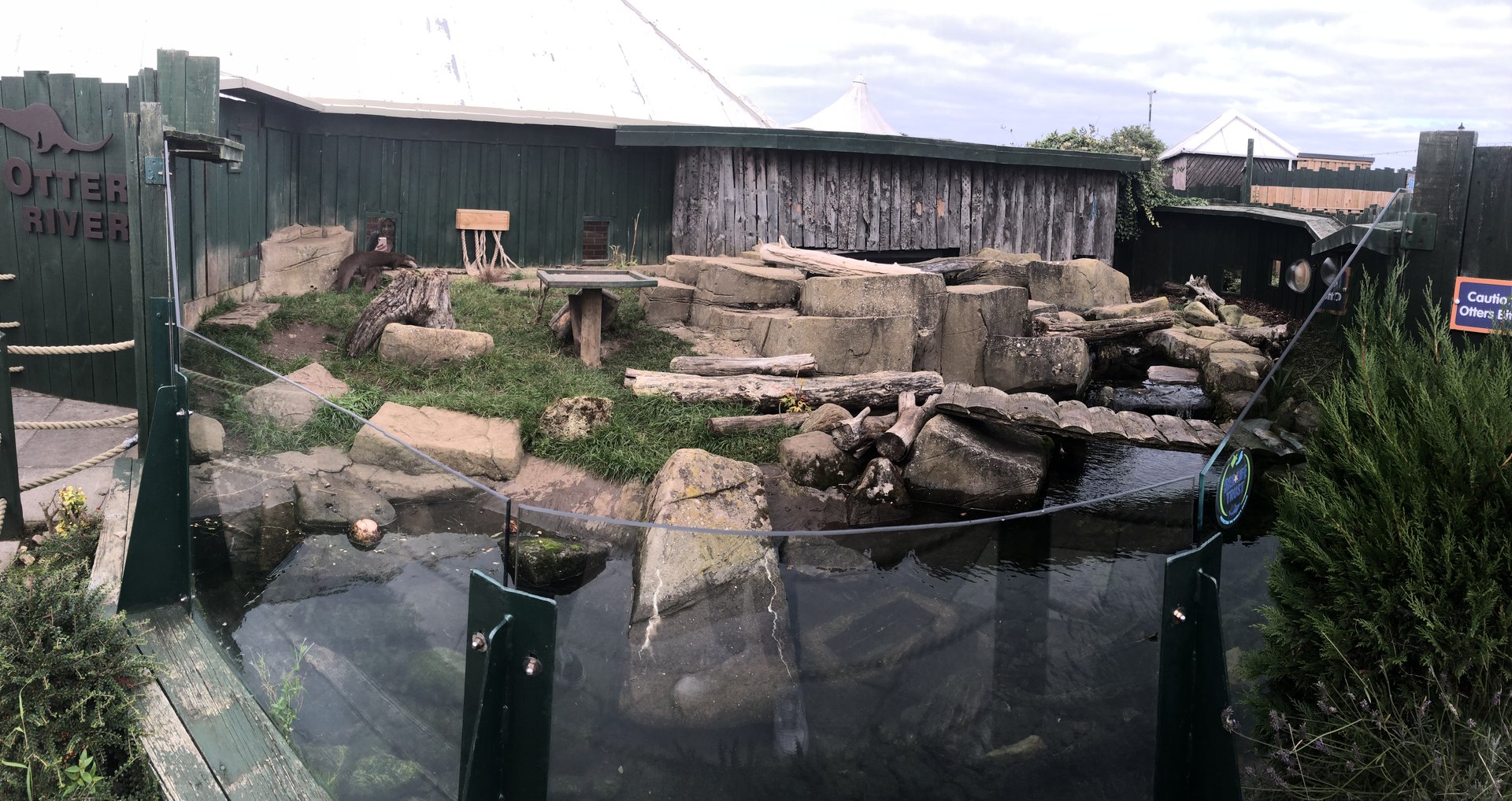 Asian Short-clawed Otter Enclosure at SEA LIFE Scarborough (September 2022)