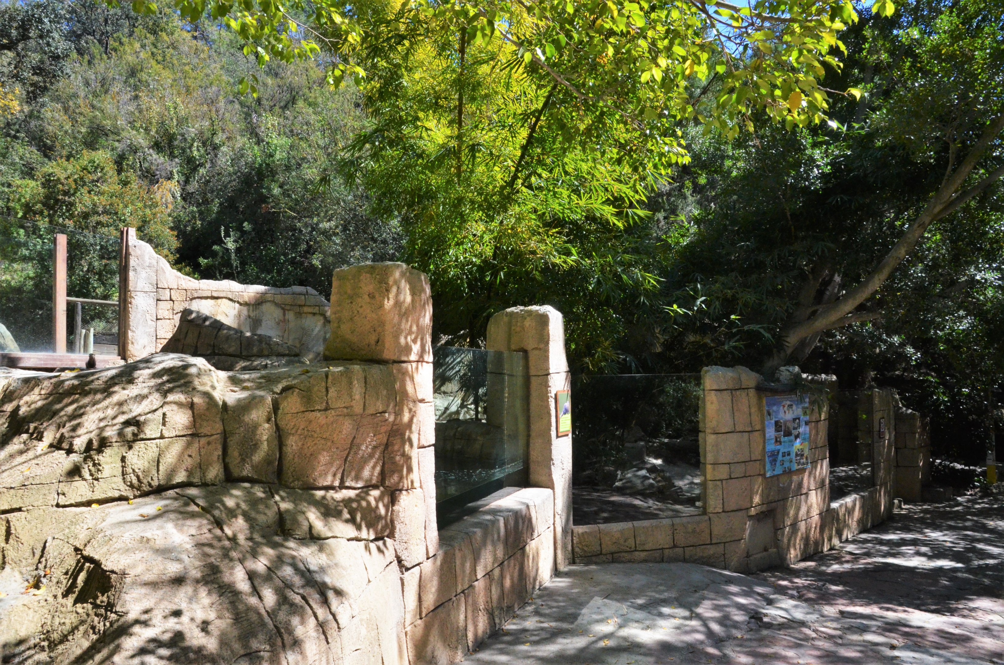 Asian Short-clawed Otter Enclosure at Selwo Aventura, 13/03/19