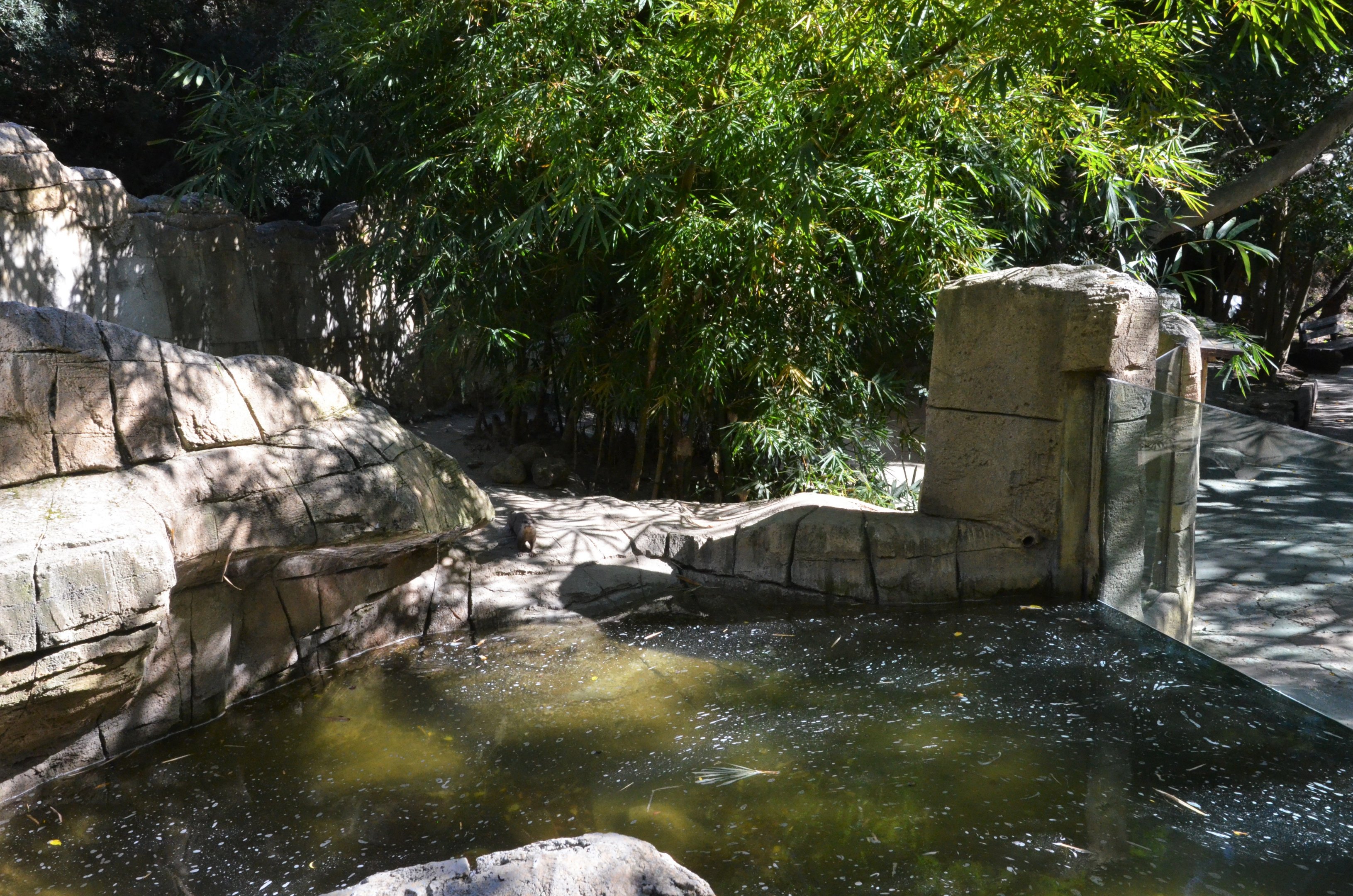 Asian Short-clawed Otter Enclosure at Selwo Aventura, 13/03/19