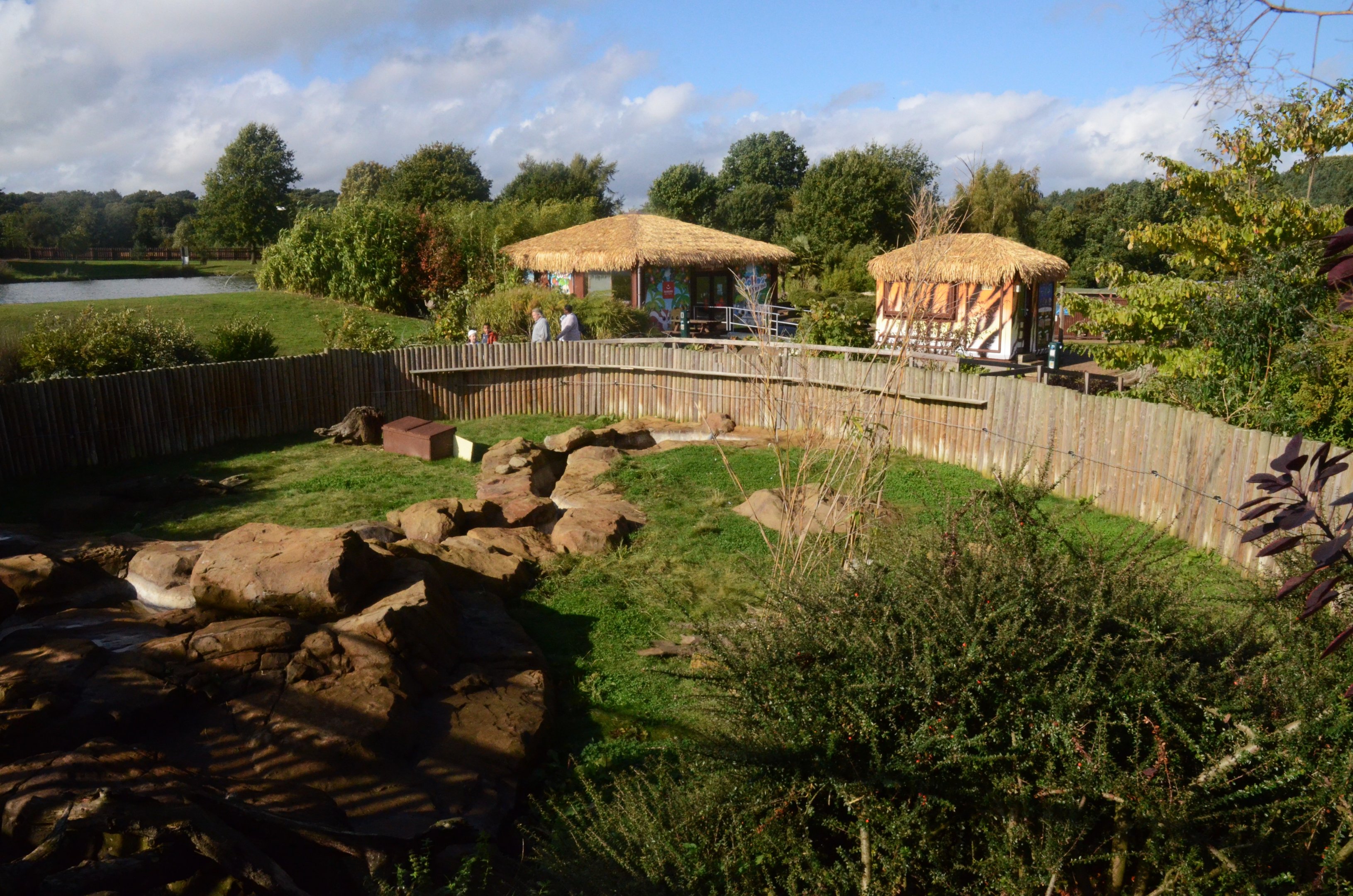 Asian Short-clawed Otter Enclosure at Woburn Safari Park, 16/10/16