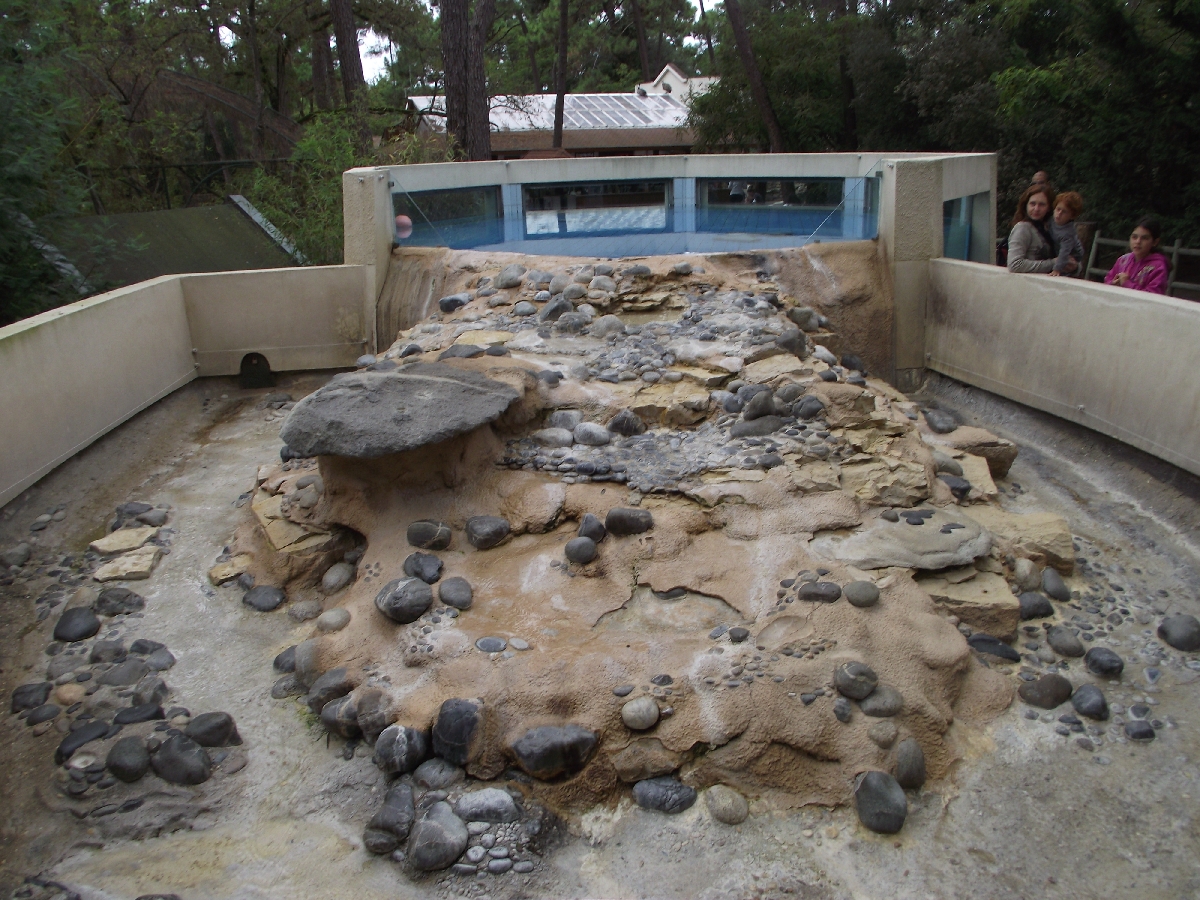 Asian Short-Clawed Otter Enclosure