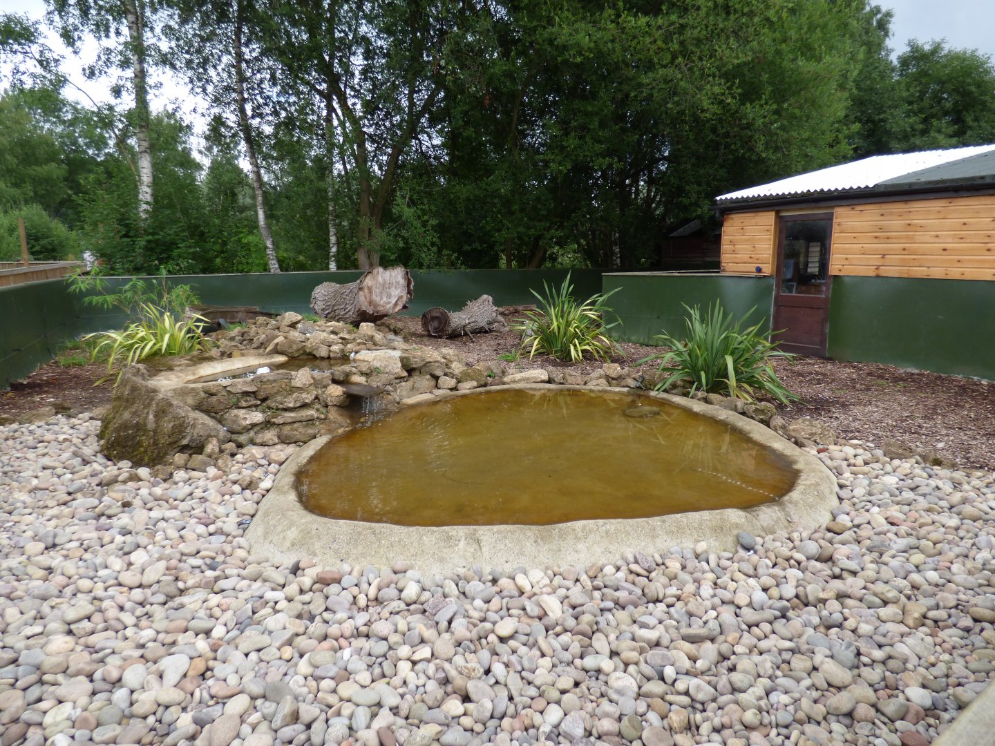 Asian Short Clawed Otter Enclosure