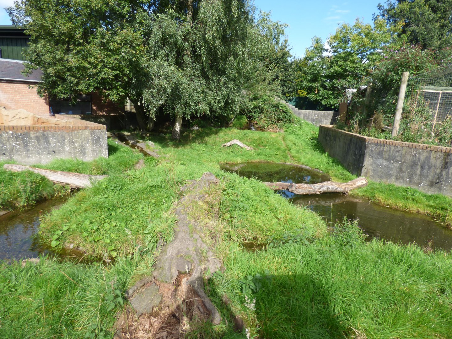 Asian Short-clawed Otter Enclosure