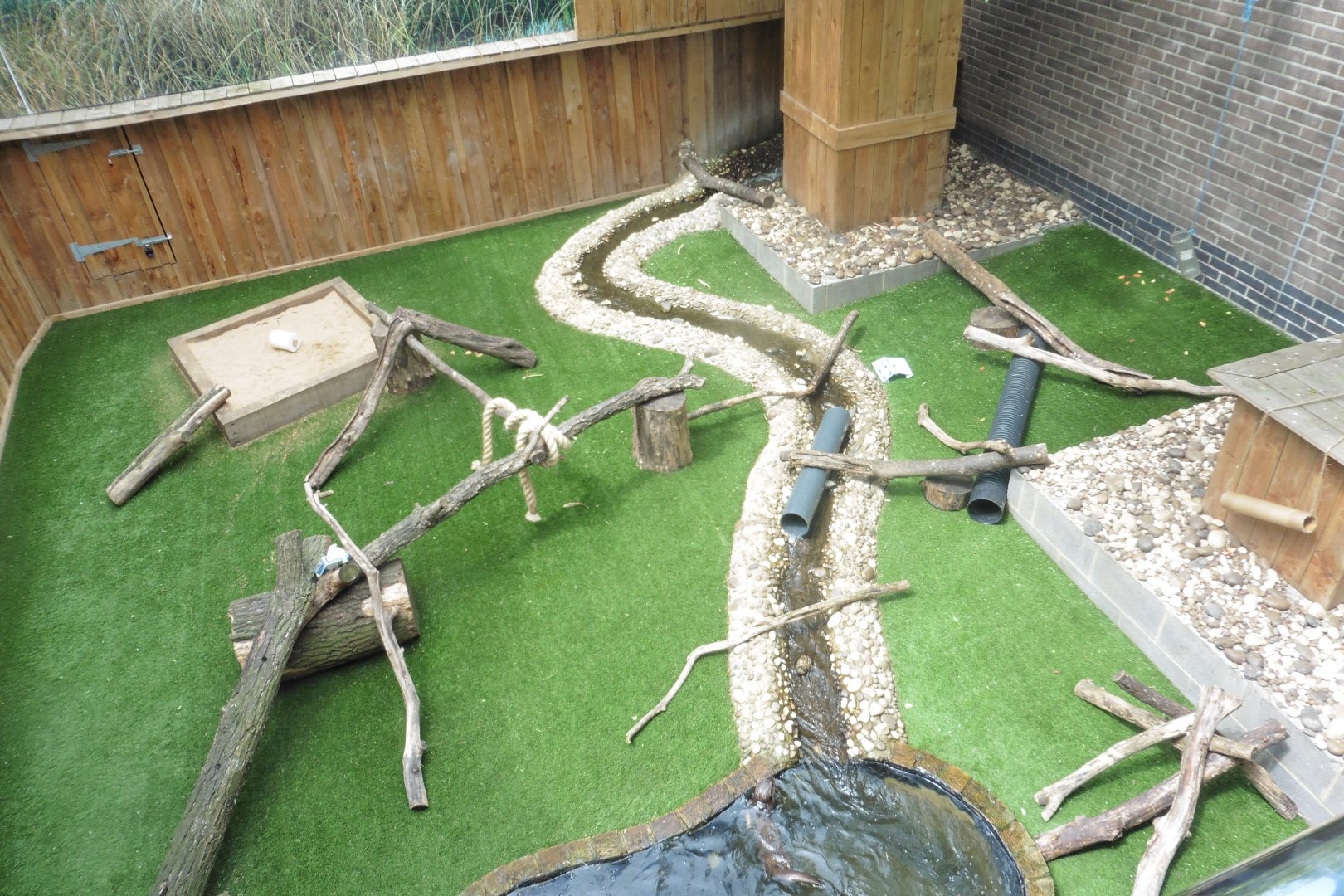 Asian Short-clawed Otter Enclosure