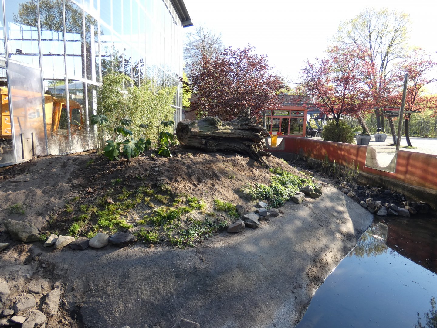 Asian Short-clawed Otter enclosure