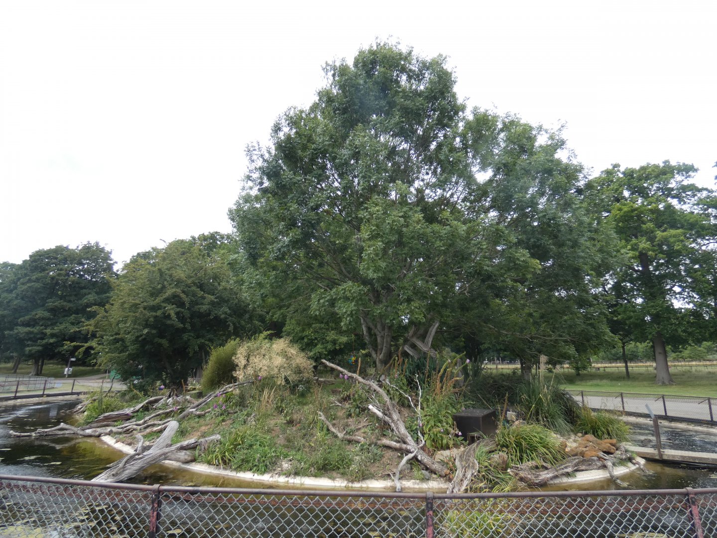 Asian Short-clawed Otter enclosure