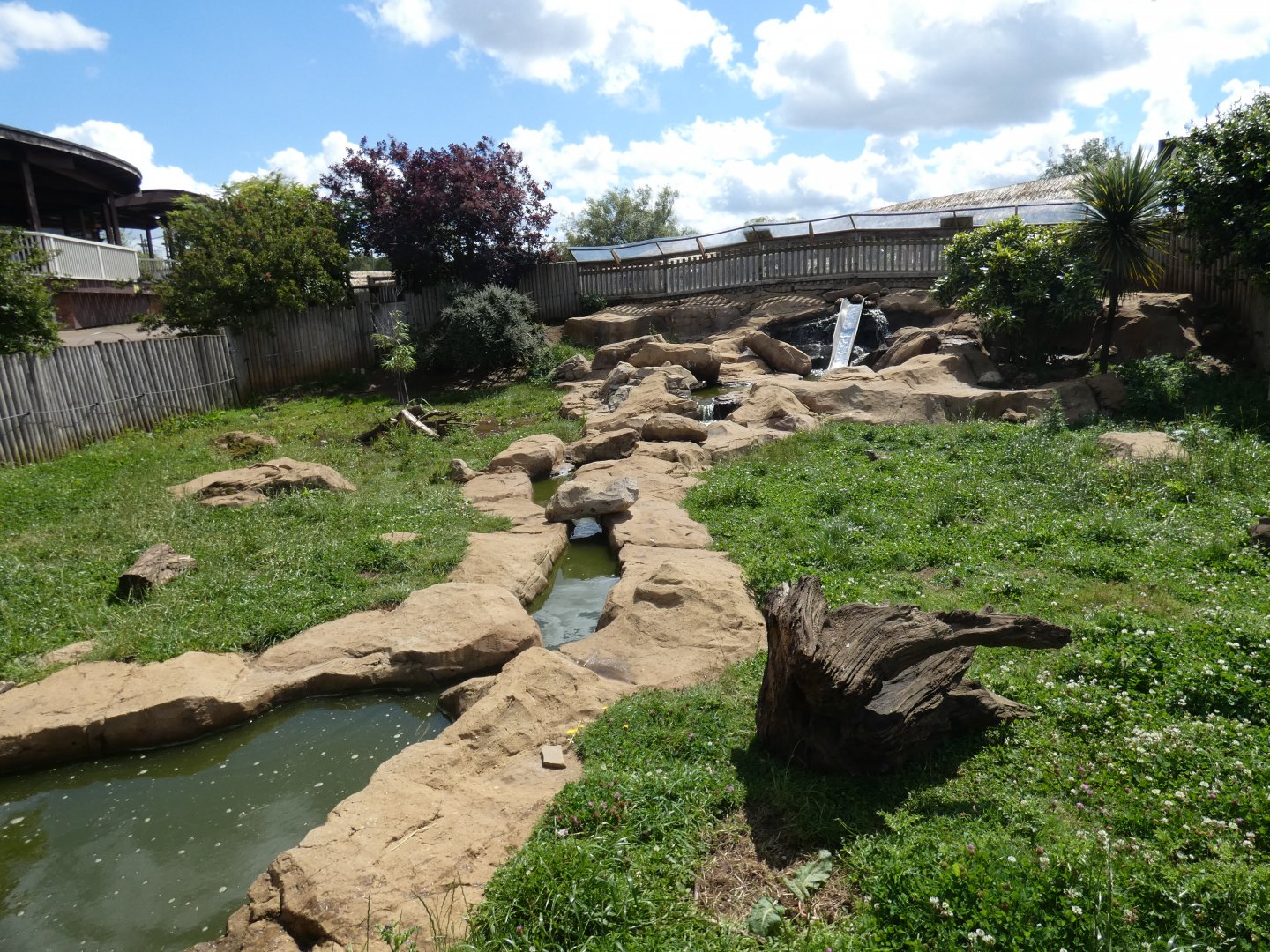 Asian Short-clawed Otter enclosure