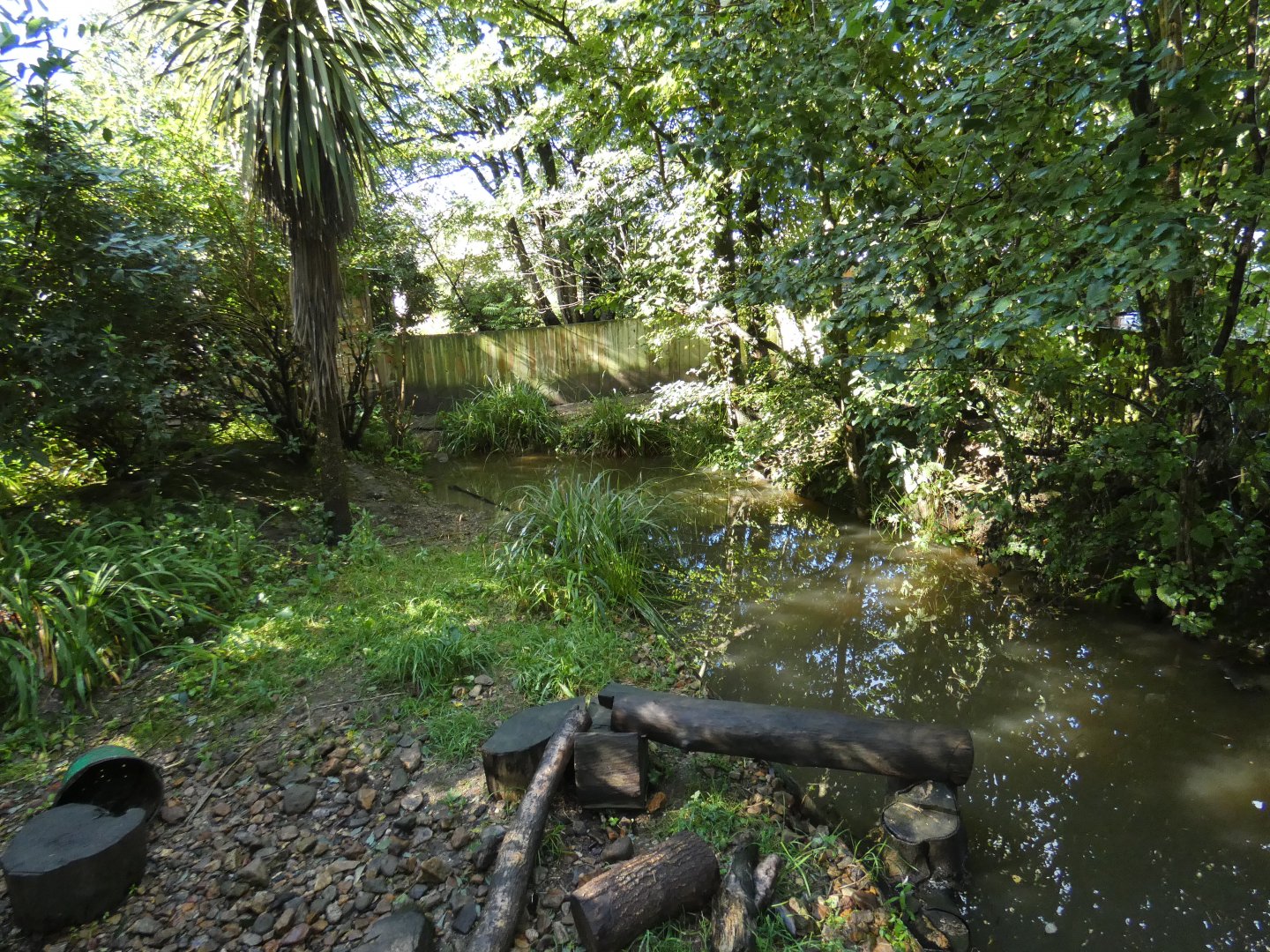 Asian Short-clawed Otter enclosure