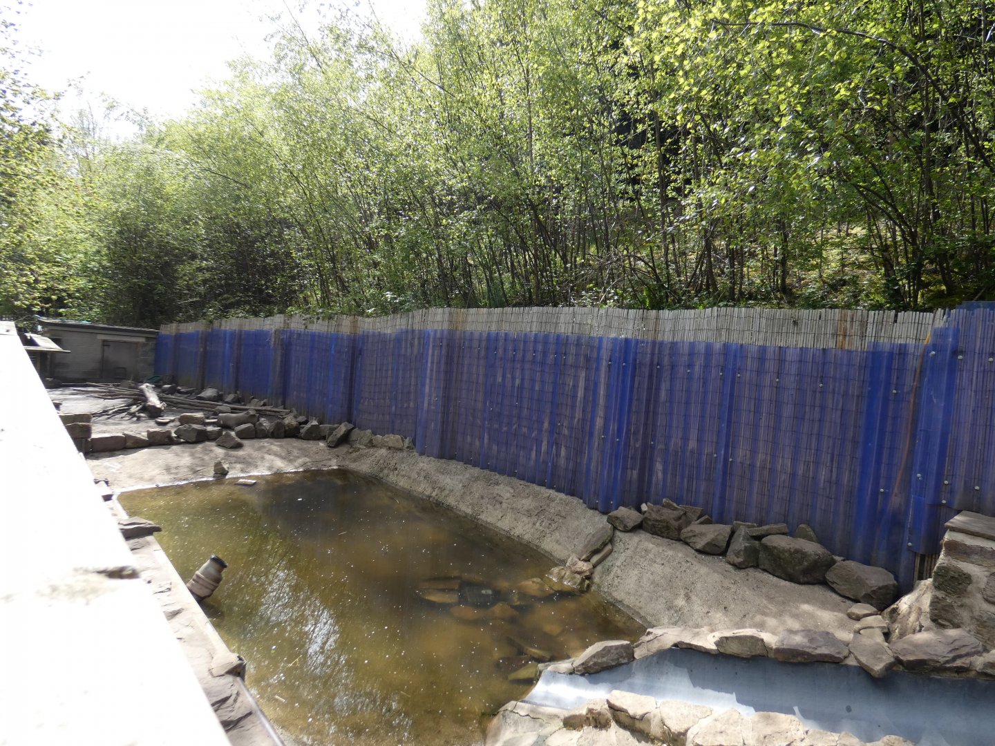 Asian short-clawed otter enclosure