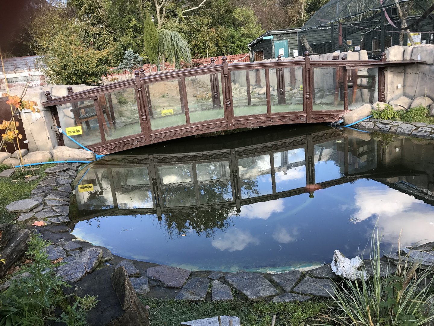 Asian short clawed otter enclosure