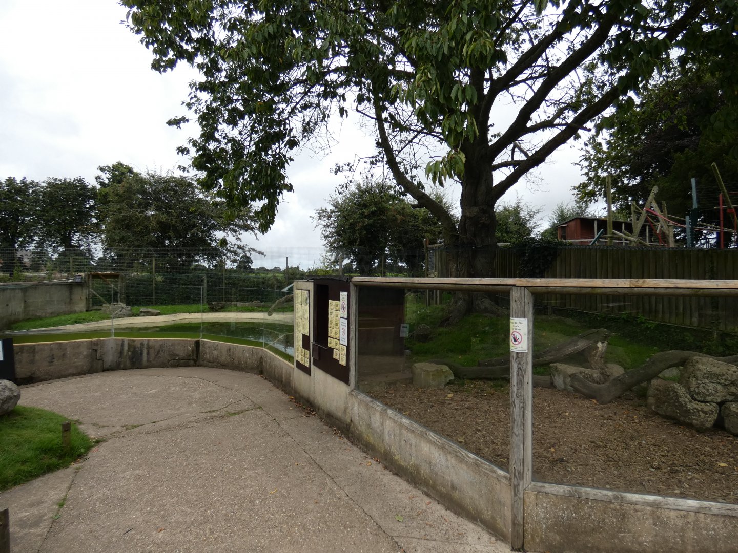 Asian short-clawed otter enclosure