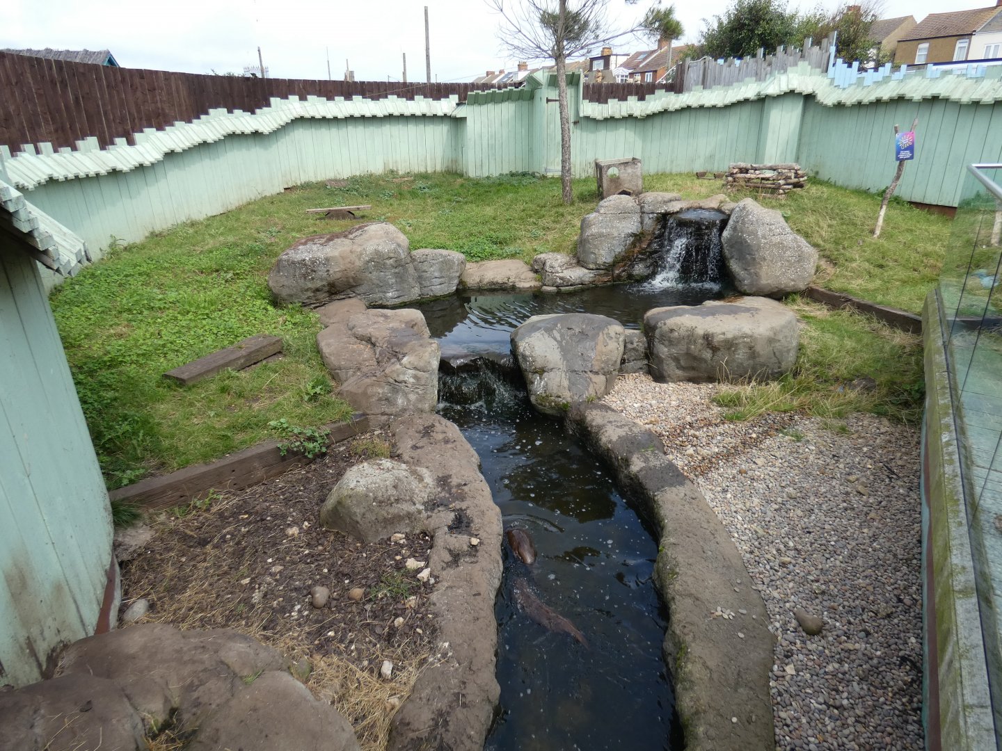 Asian short-clawed otter enclosure